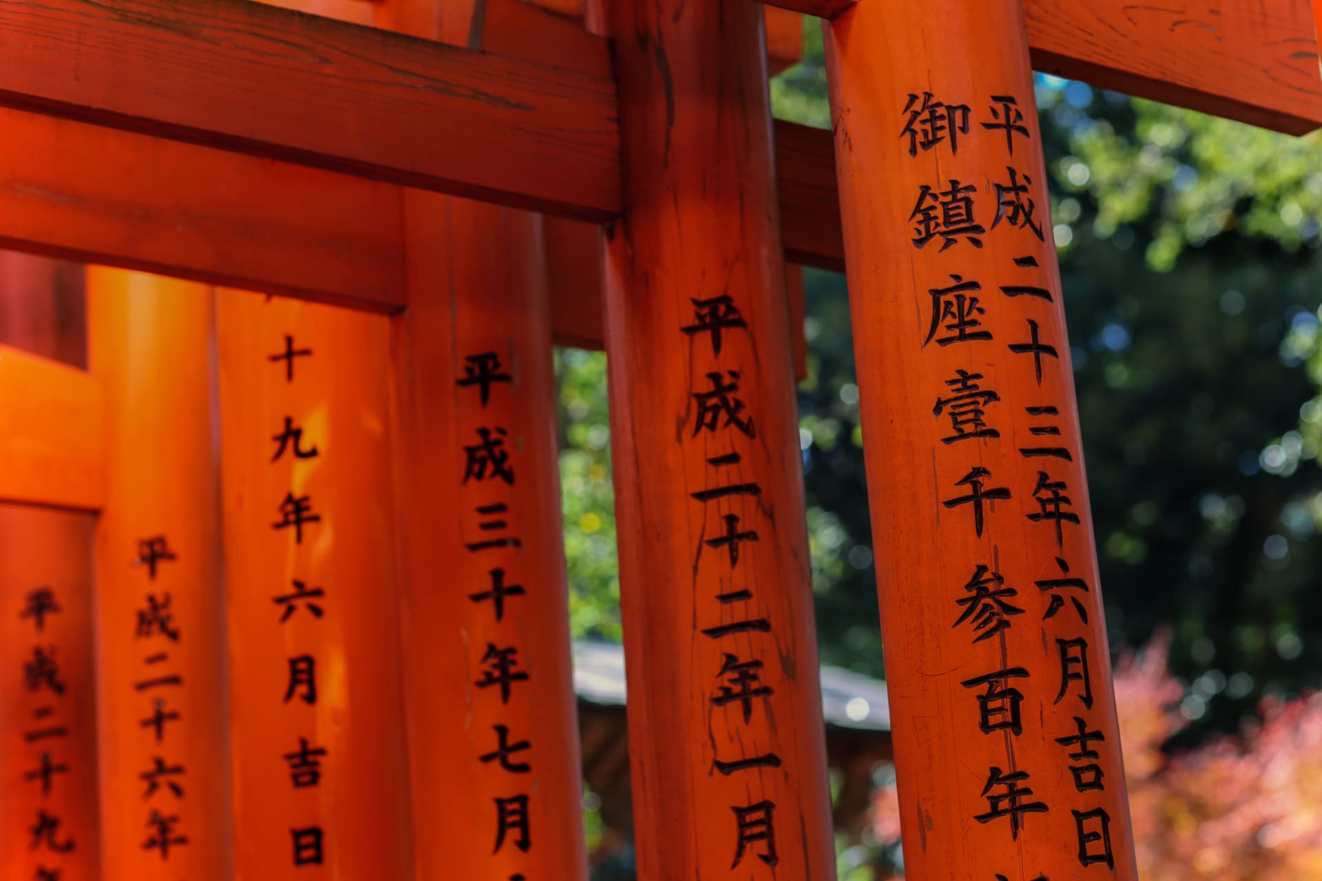Kyoto and Nara Full-Day Tour from Osaka: Kiyomizudera Area, Fushimi Inari Taisha, Nara Park - სურათი 6