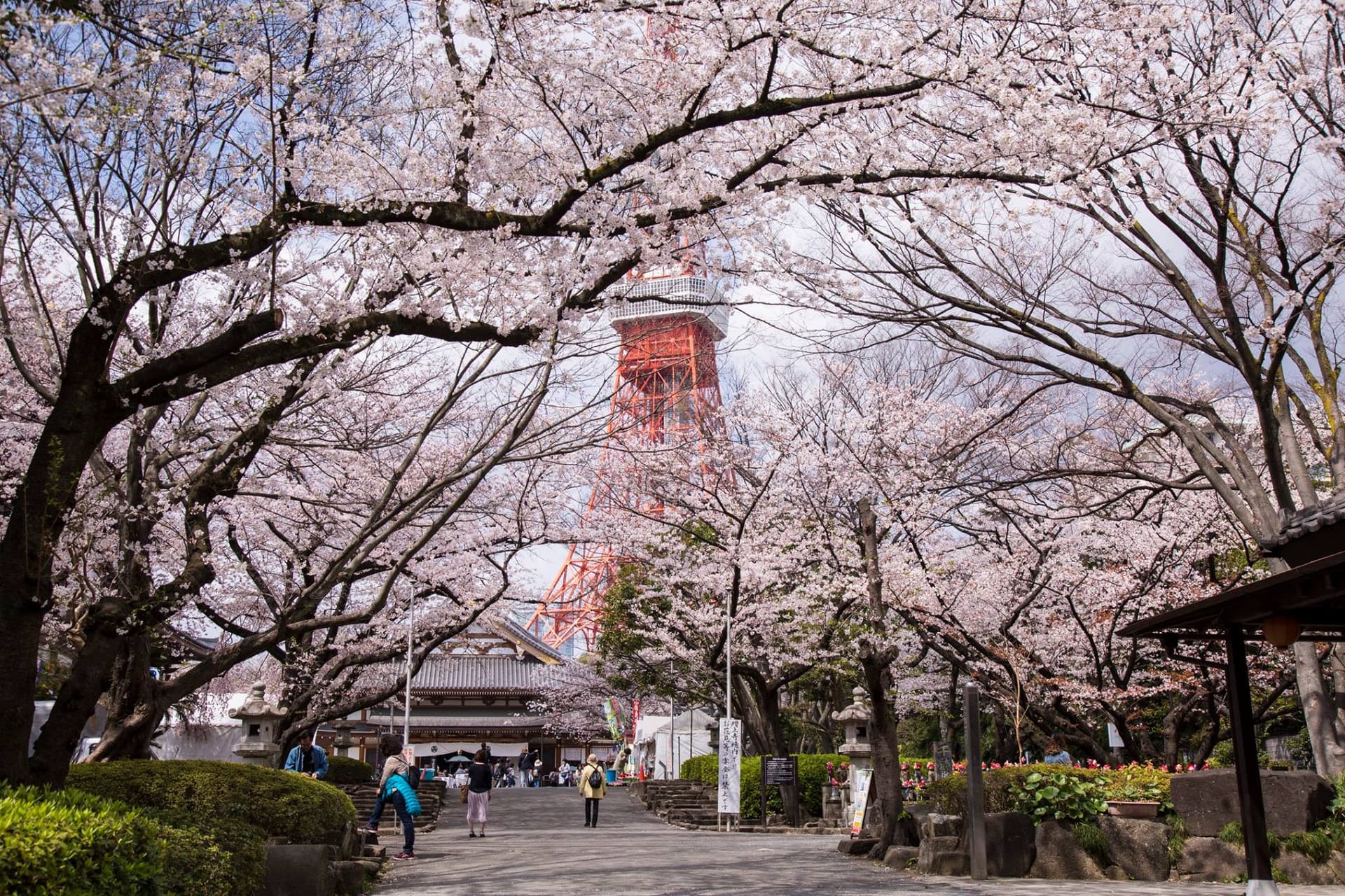 Tokyo Tower Ticket - სურათი 3