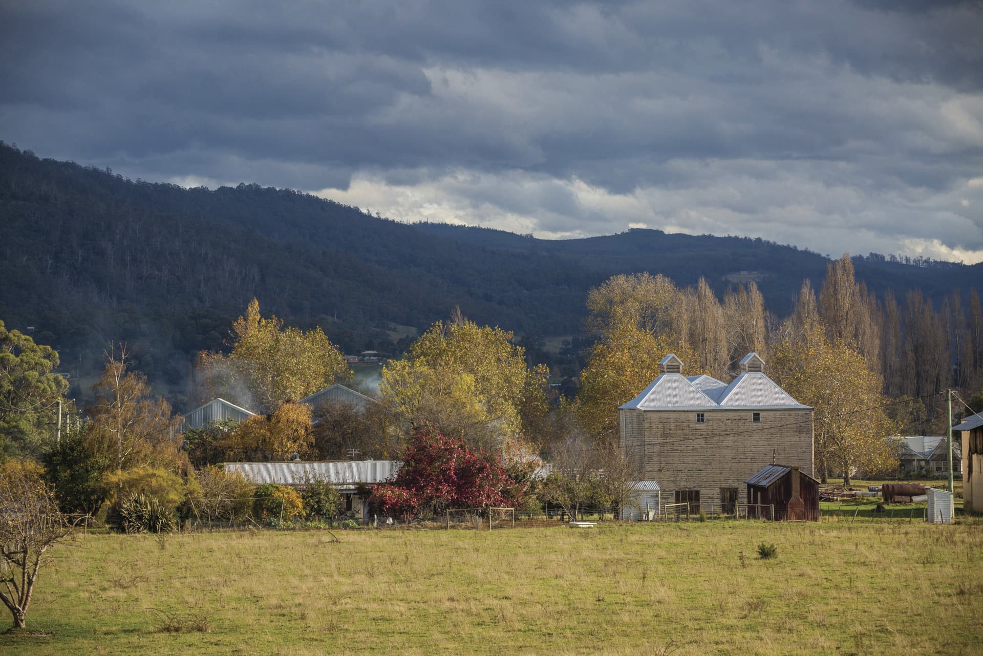 Huon Valley Tour - სურათი 13