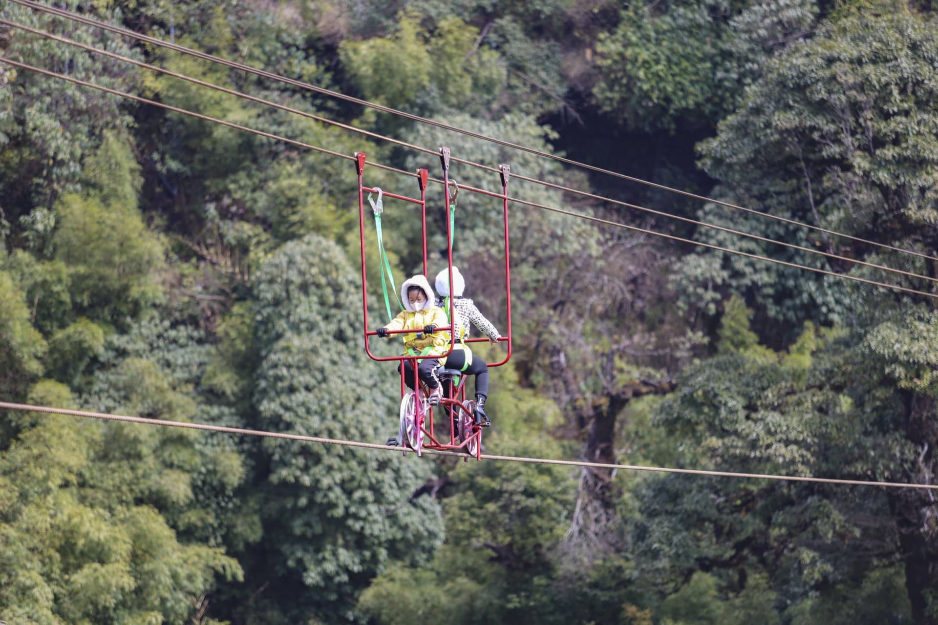 Rong May Glass Bottom Bridge Ticket in Sapa - სურათი 5