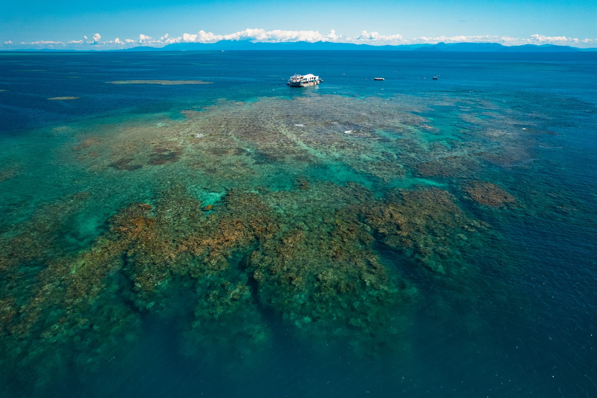 Reef Magic Pontoon Tour from Cairns - სურათი 8