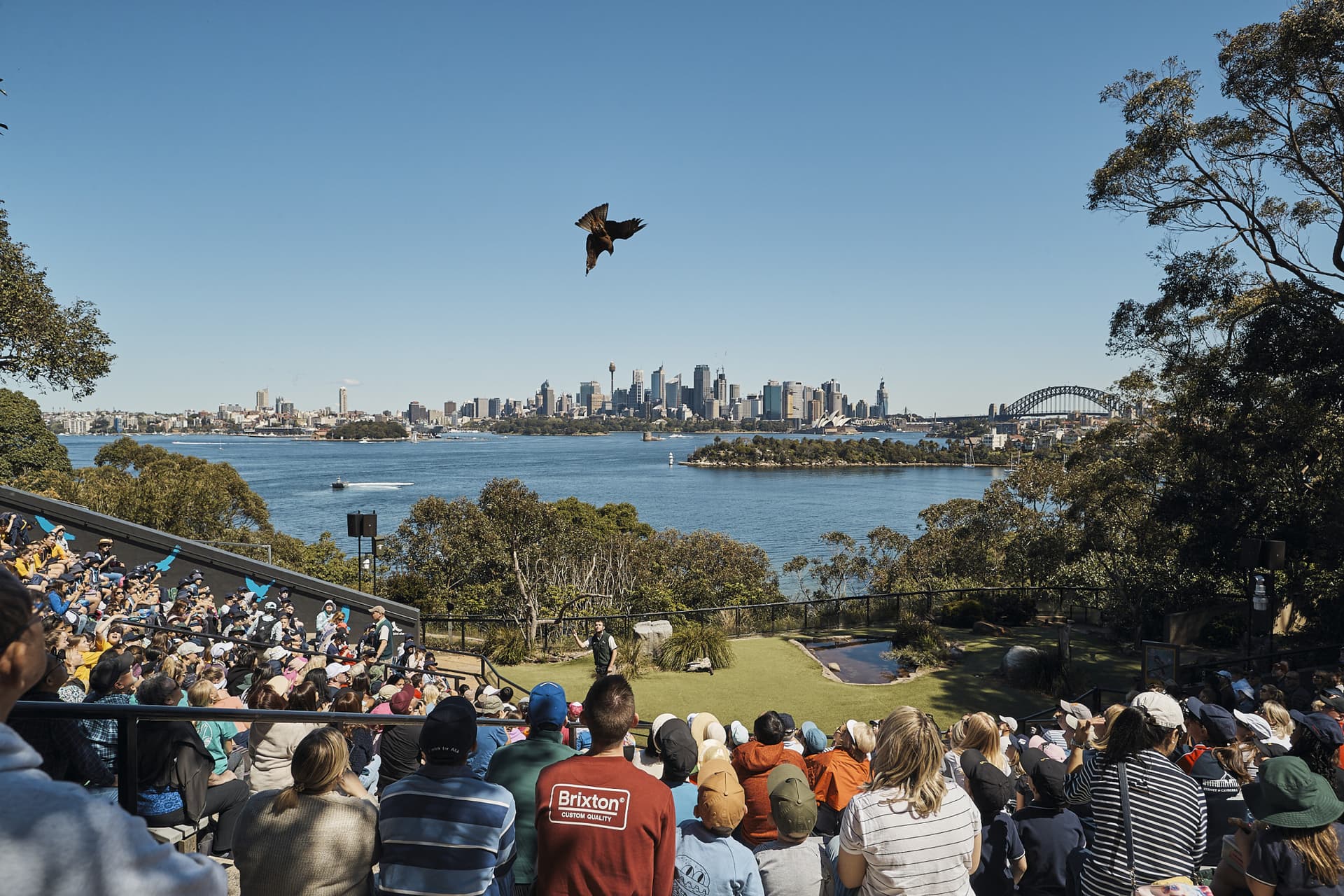 Go City Sydney Essentials Pass: 3 Attractions - სურათი 6