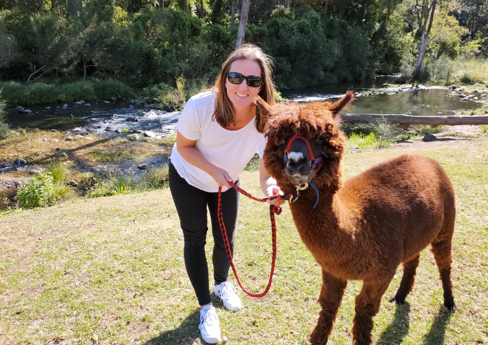 Lamington National Park Tour: O'Reilly's Rainforest Retreat and Canungra Valley Vineyard - სურათი 13
