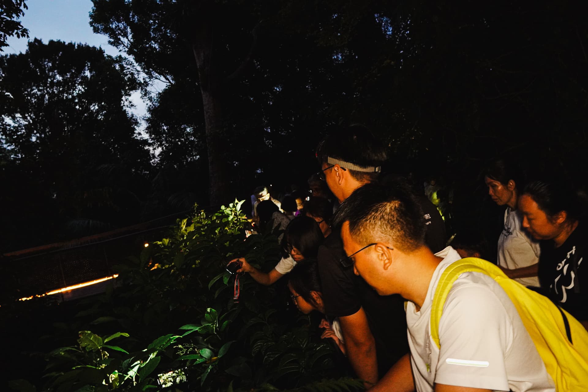The Habitat Penang Hill Ticket - სურათი 26