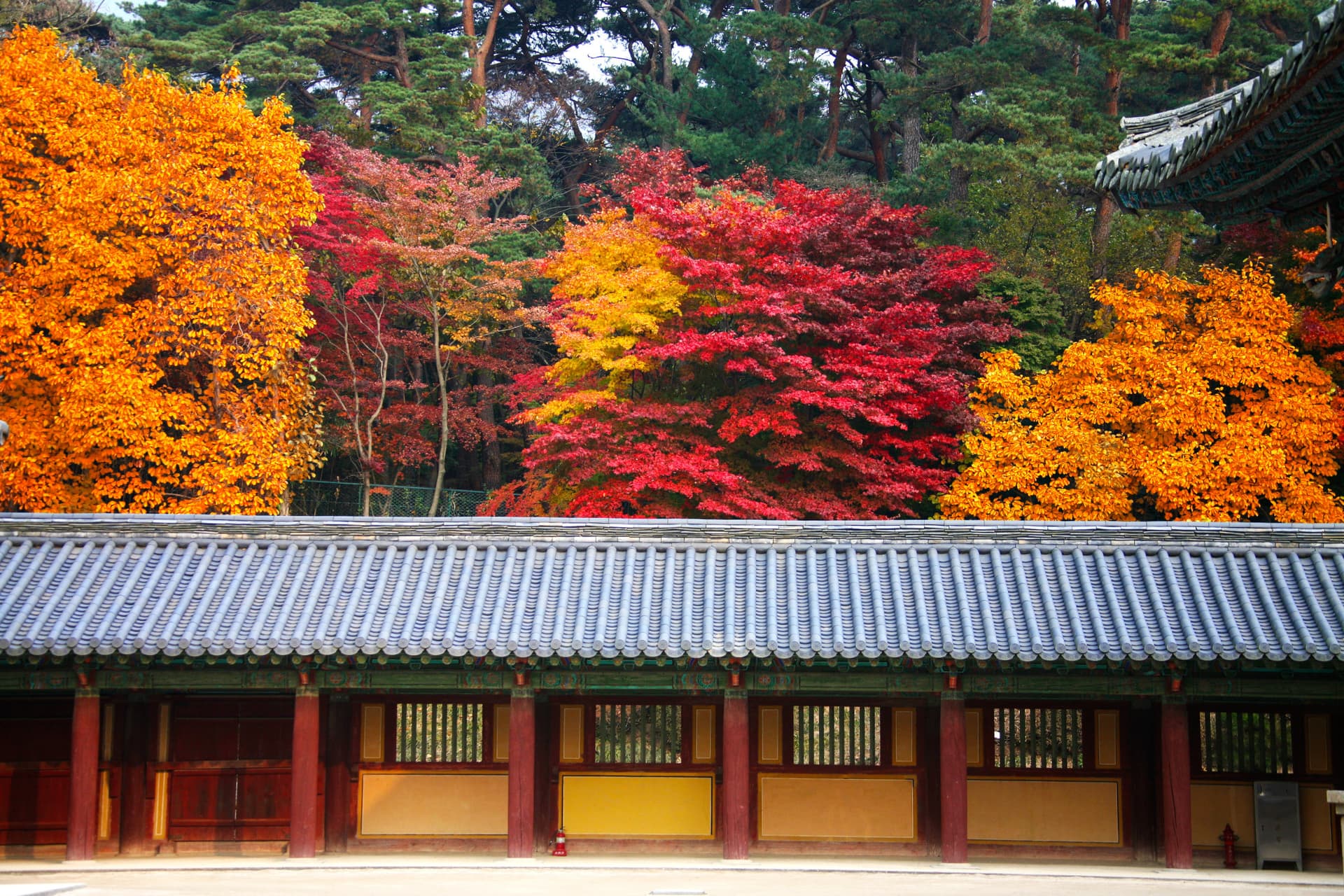 Gyeongju Autumn Foliage One Day Tour from Busan - სურათი 9