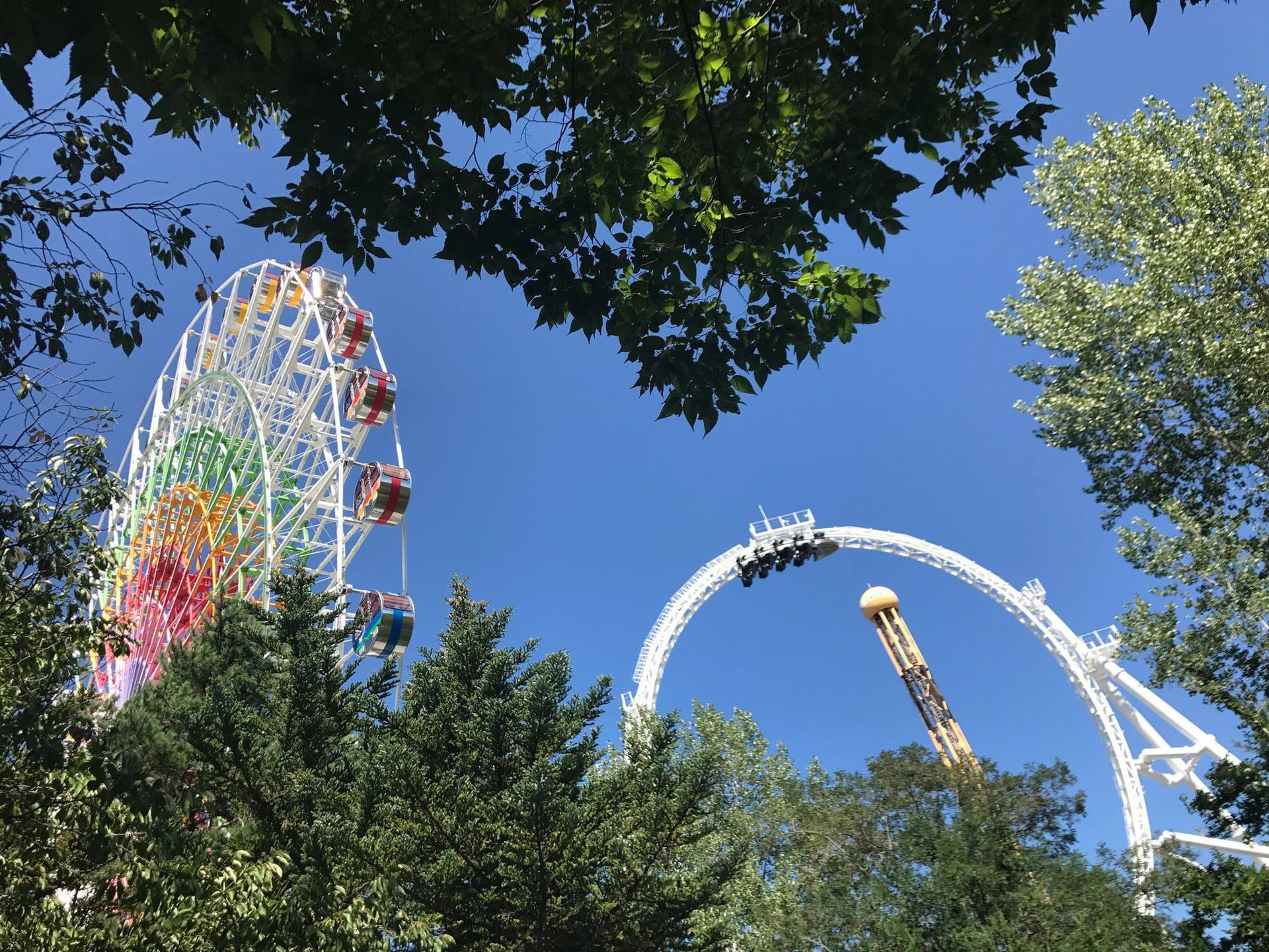Fuji-Q Highland Pass - სურათი 9