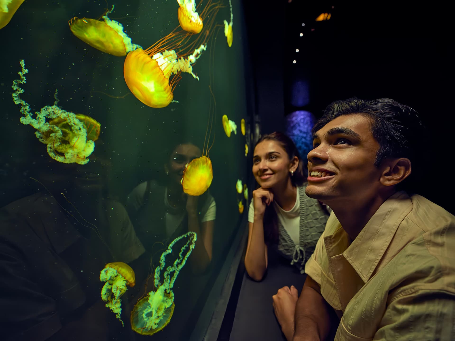 Singapore Oceanarium Ticket - სურათი 7