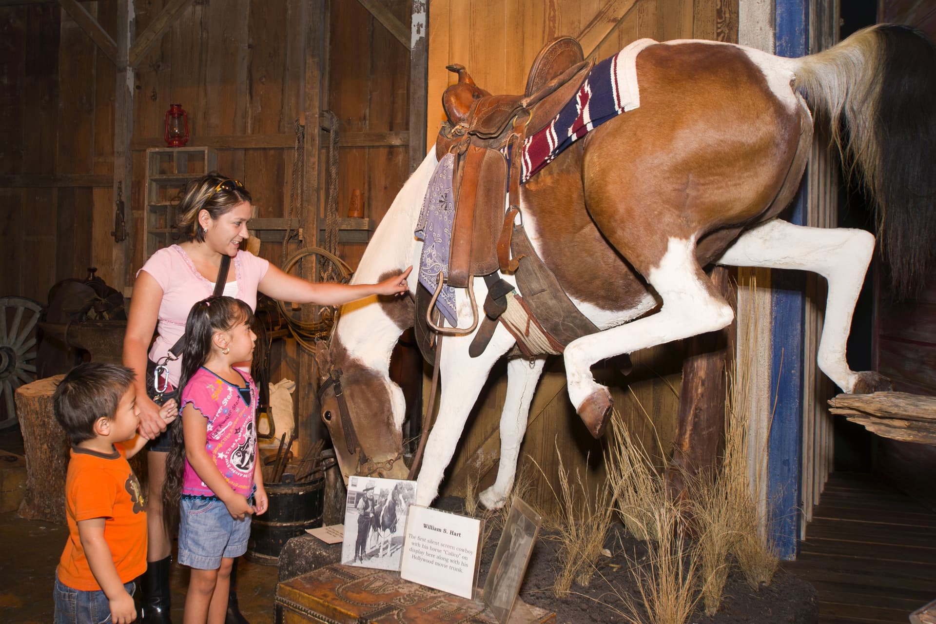 Go City San Antonio Essentials Pass: 3 Attractions - სურათი 16