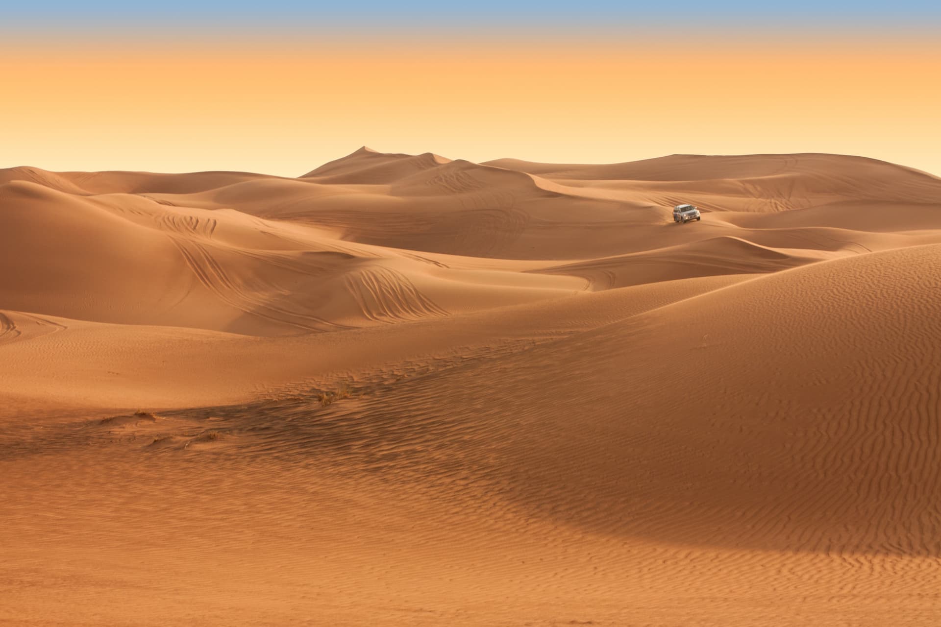 Liwa Desert Safari Tour - მთავარი სურათი