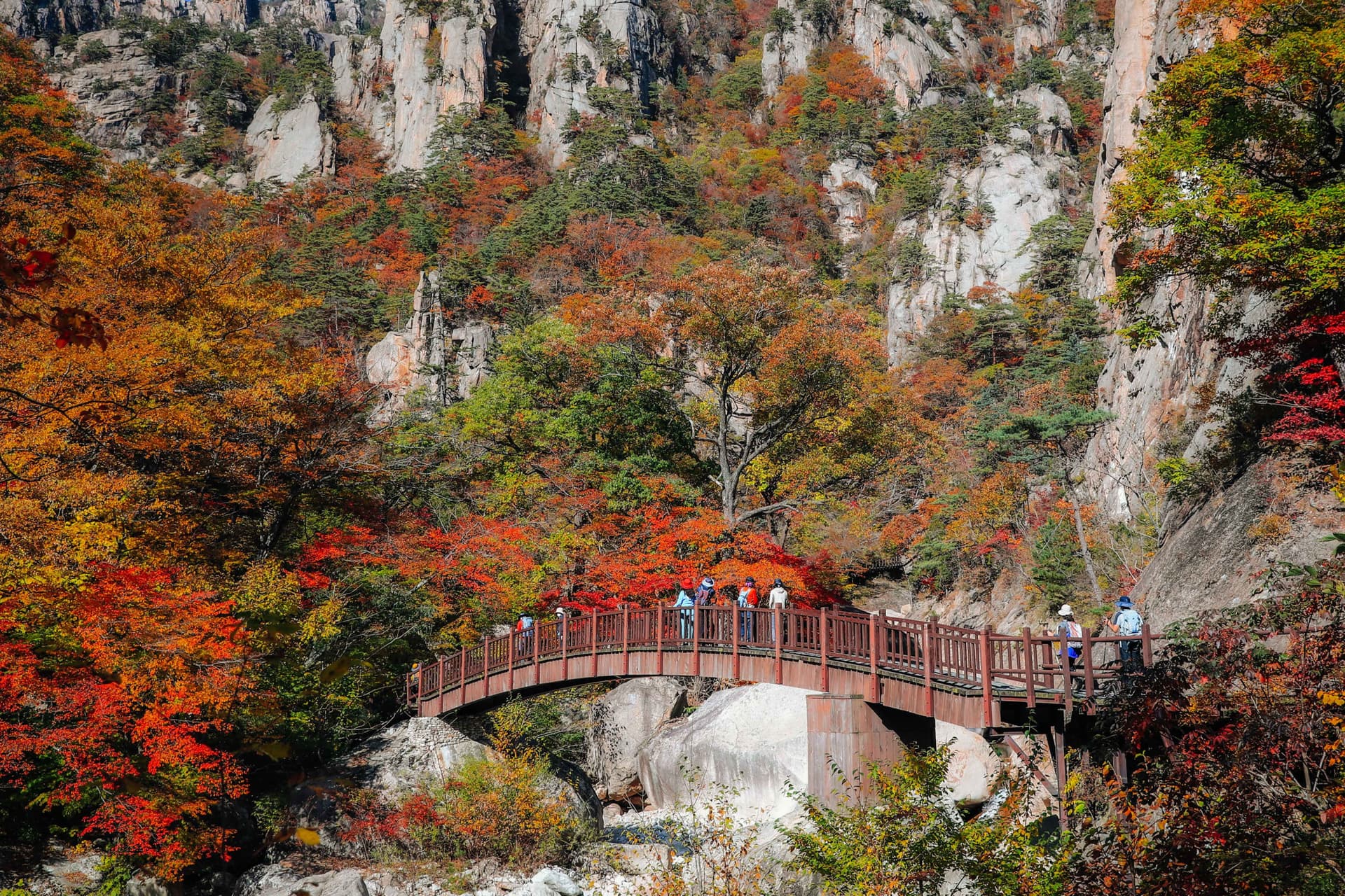 Nami Island and Mount Seorak Full-Day Tour from Seoul - მთავარი სურათი