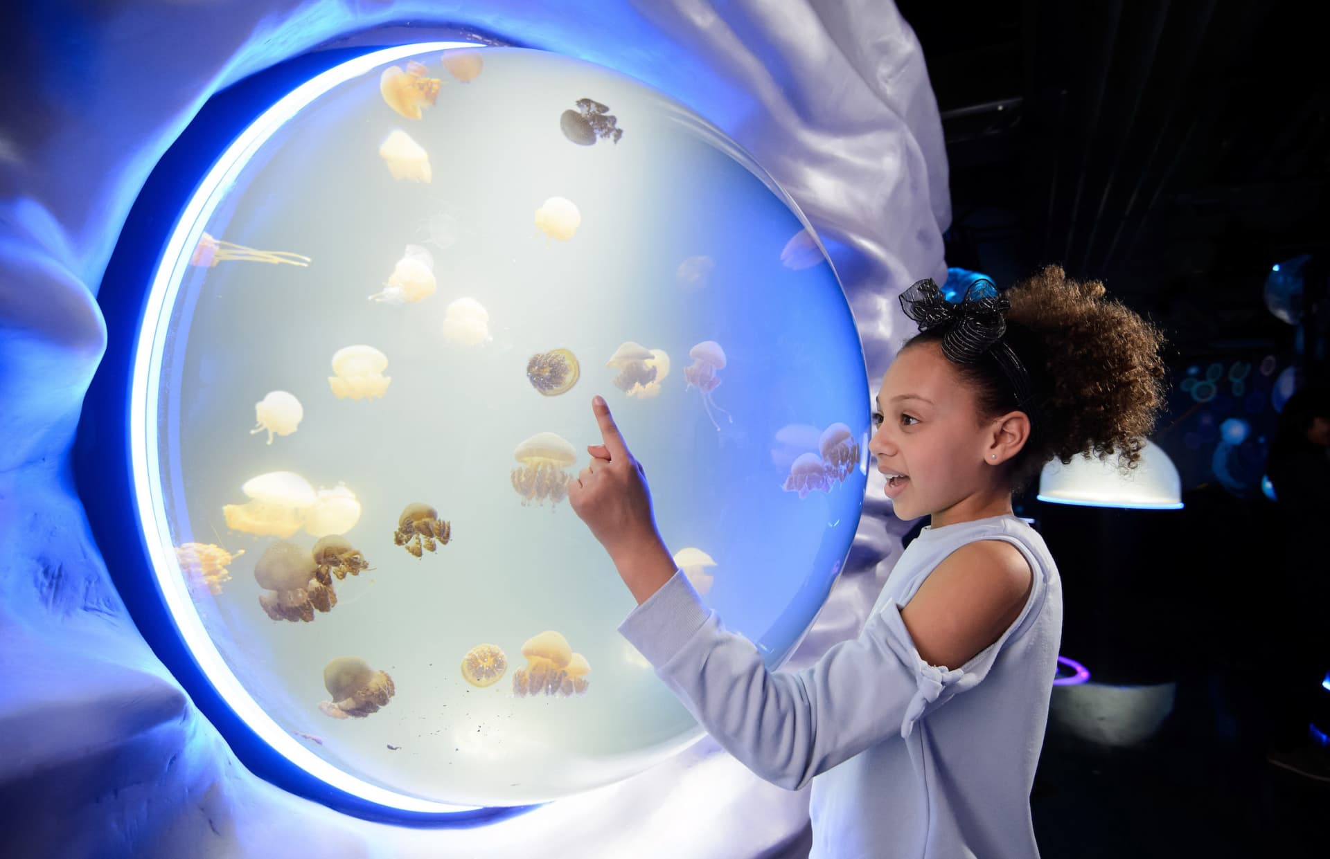 COMBO: London Eye + SEA LIFE London Aquarium Ticket - სურათი 14