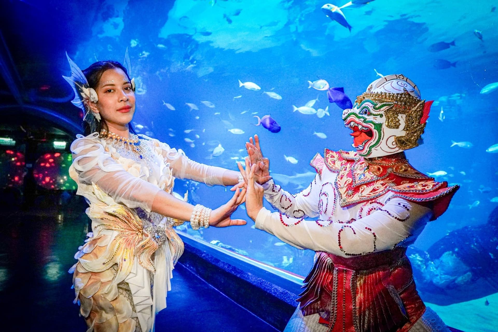Aquaria Phuket - სურათი 12