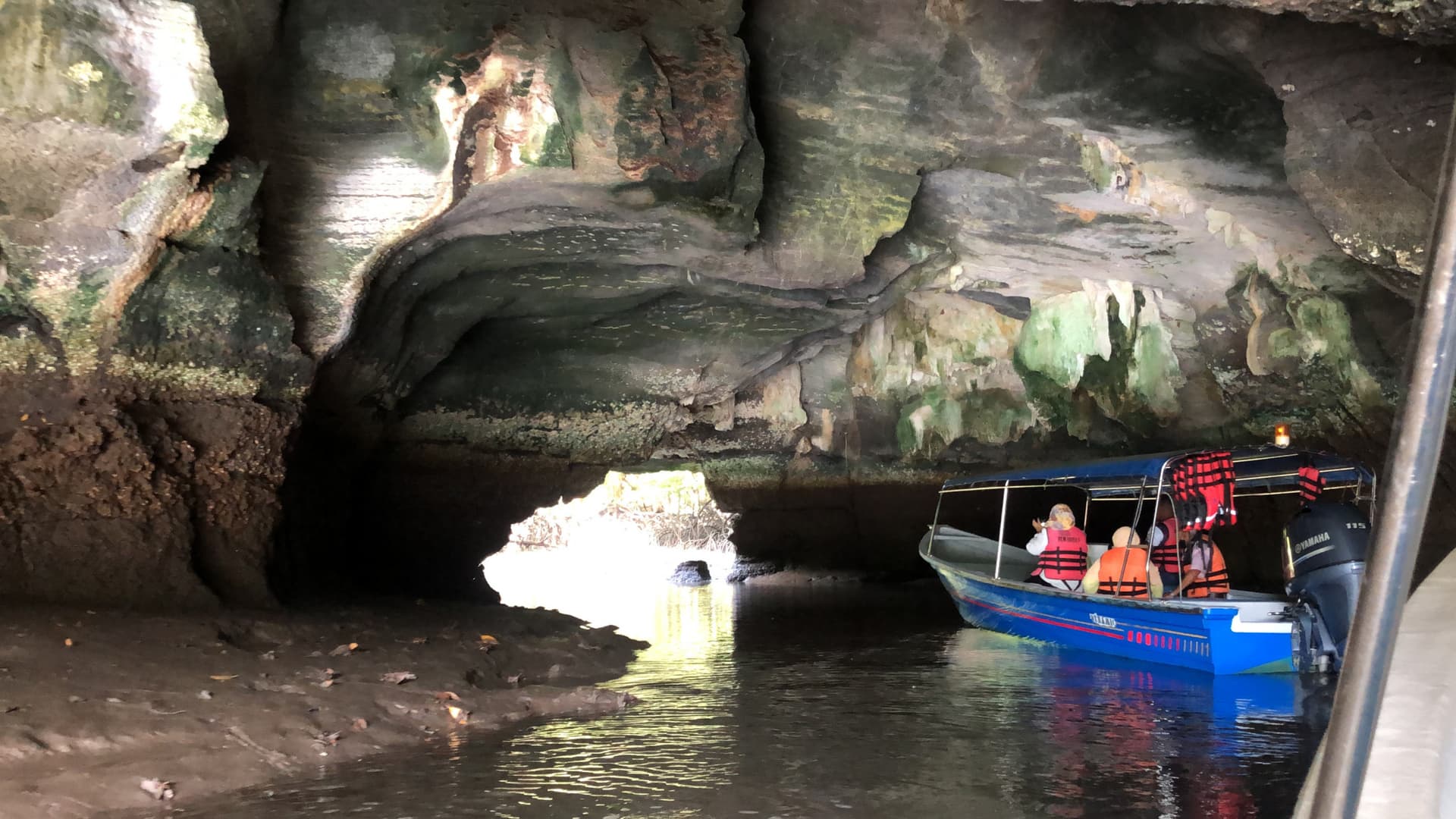 Langkawi UNESCO Global Geopark Mangrove Cruise - სურათი 4