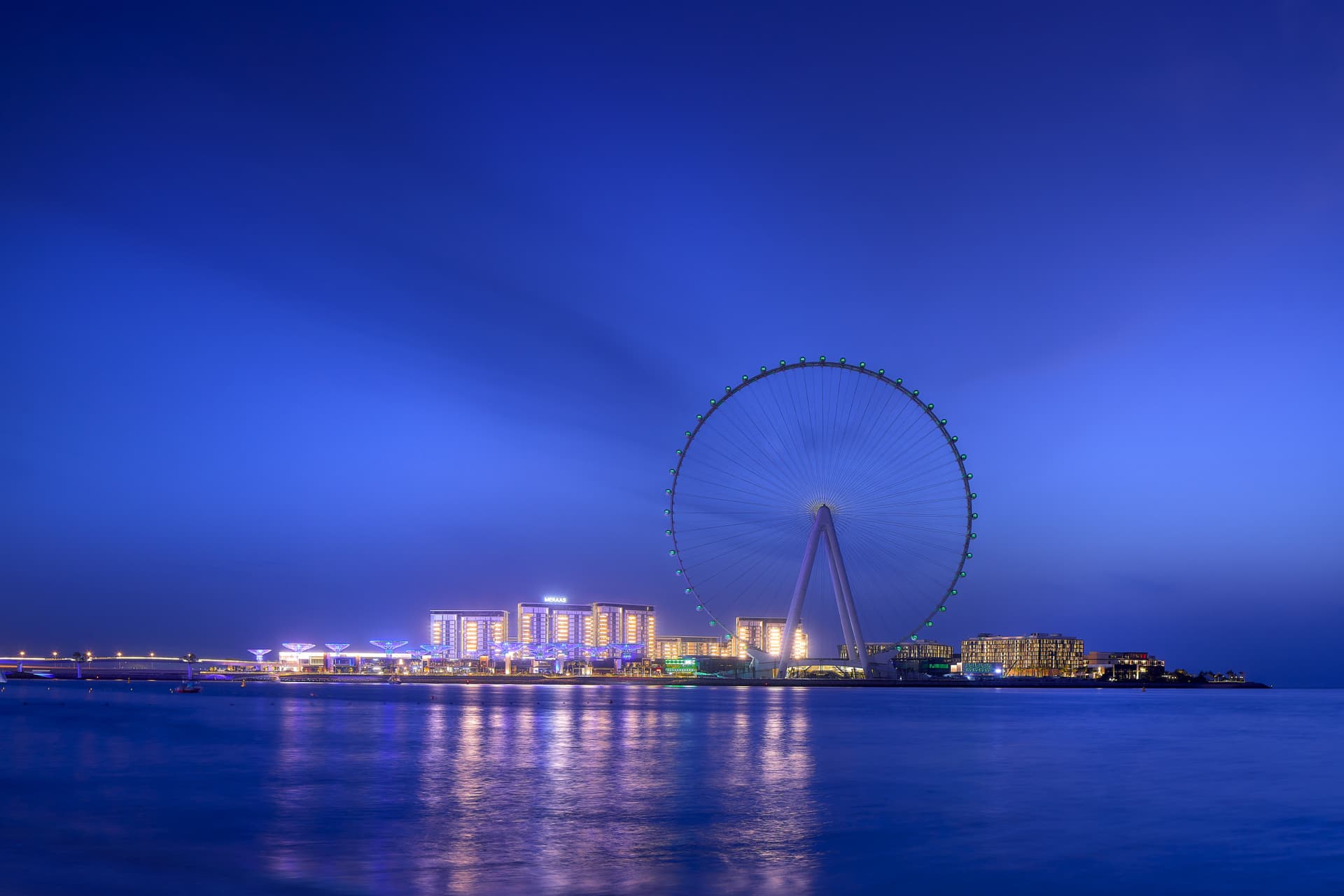 COMBO: Ain Dubai + The Green Planet Tickets - სურათი 4