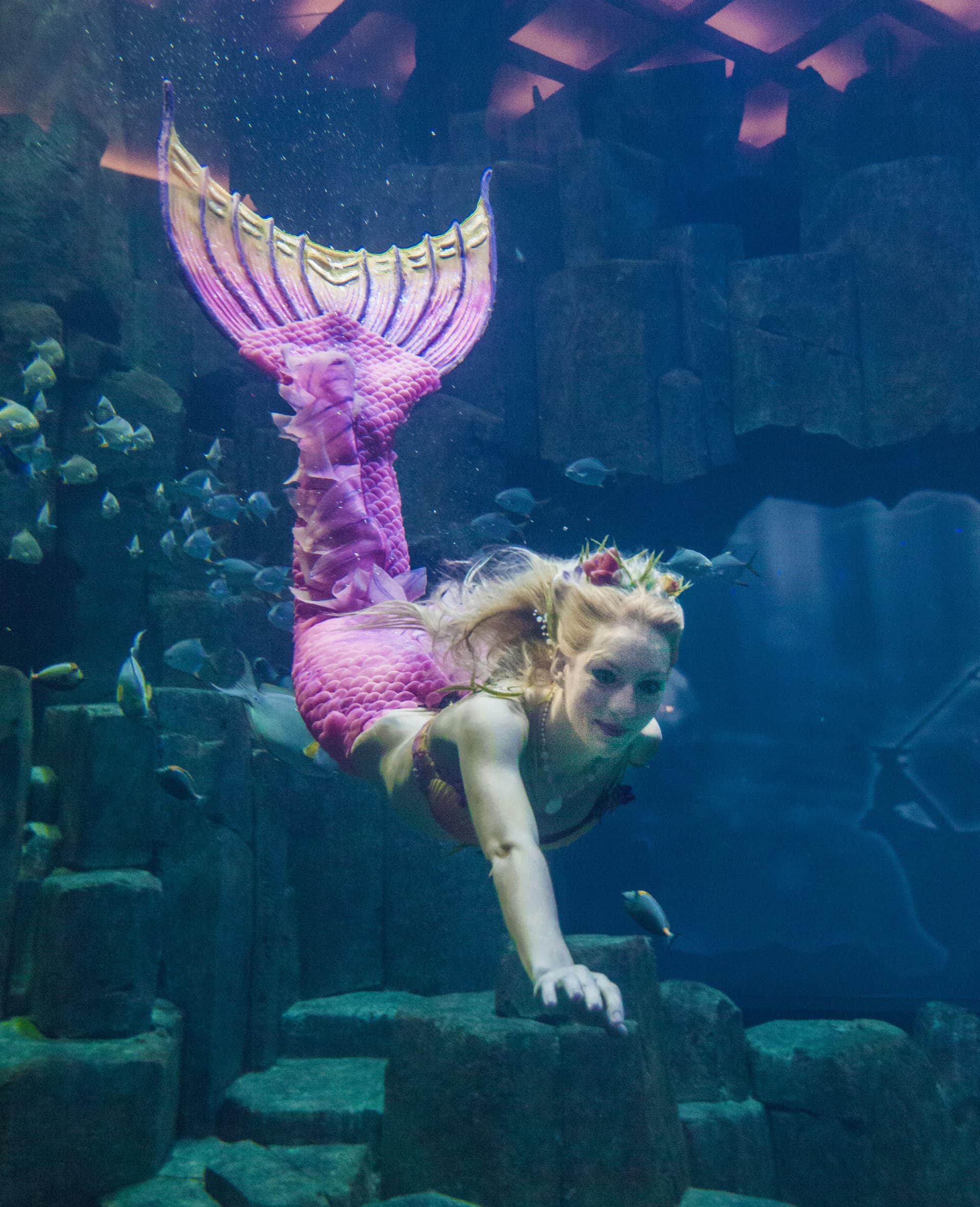 Aquarium de Paris - სურათი 6