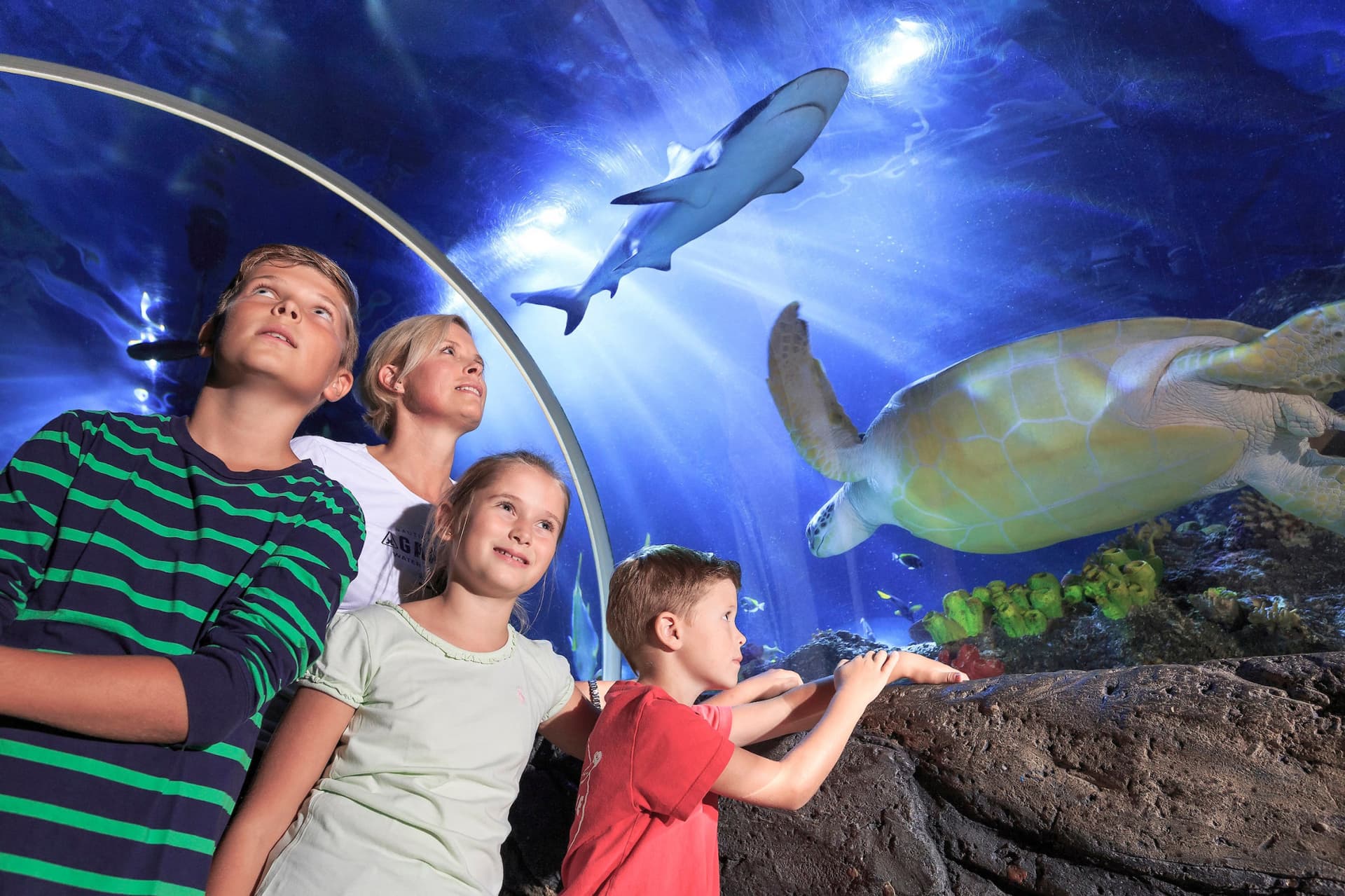 SEA LIFE Timmendorfer Strand Aquarium Ticket - სურათი 7