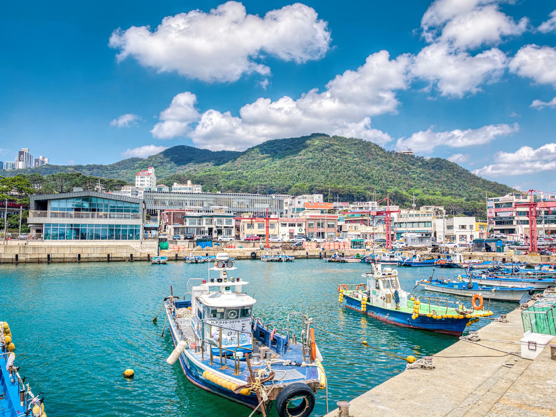 One Day Cultural Tour in Busan: Haedongyonggungsa Temple, Cheongsapo, Gamcheon Culture Village - სურათი 4