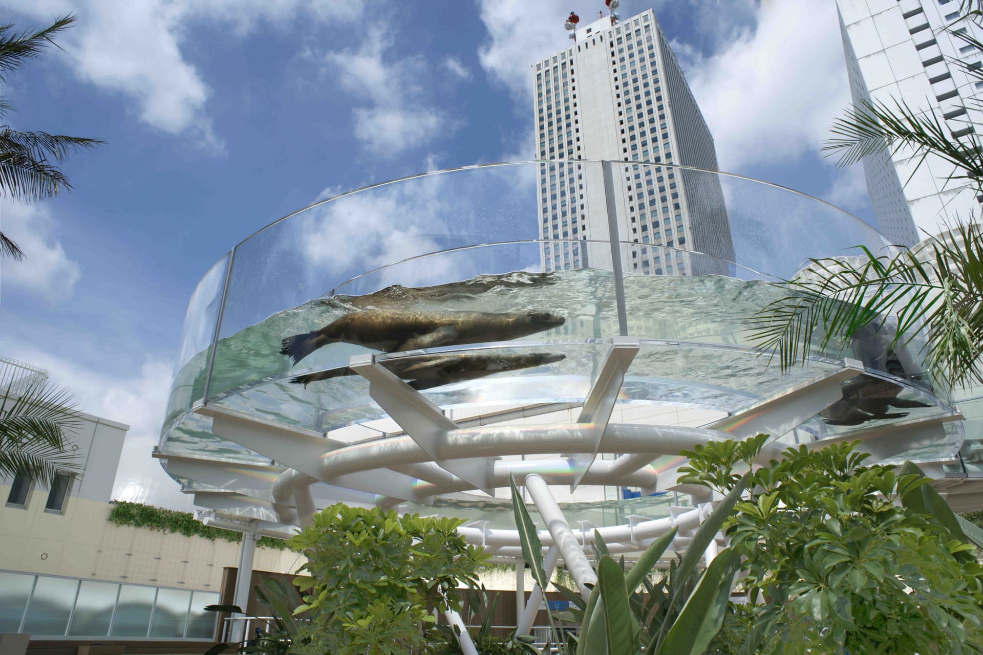 Tokyo Sunshine Aquarium - სურათი 5