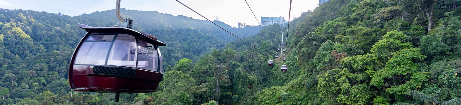 COMBO: Eufloria Gardens & Sculpture Park + Genting Skyway Tickets - სურათი 10