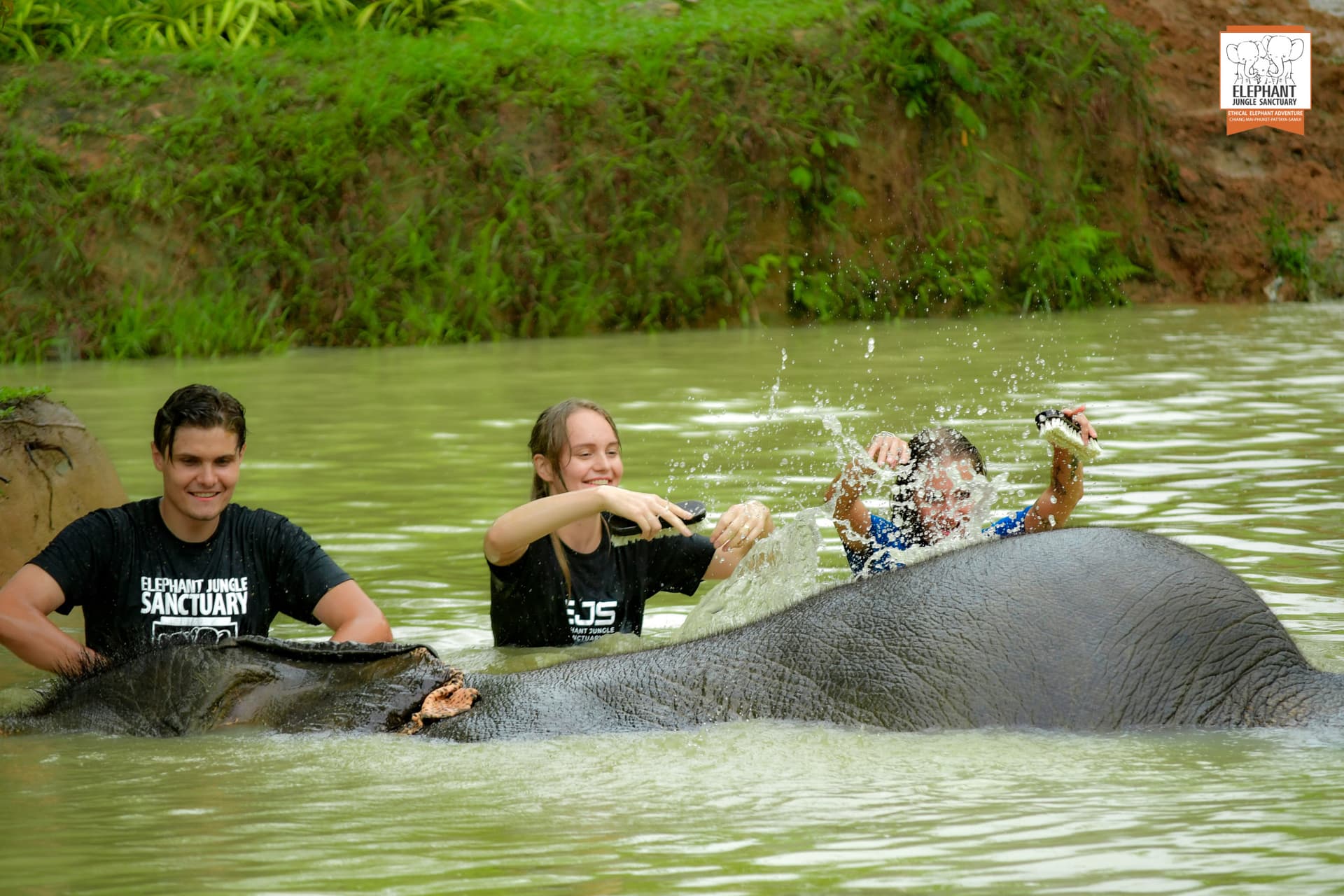 Elephant Jungle Sanctuary Phuket - სურათი 8