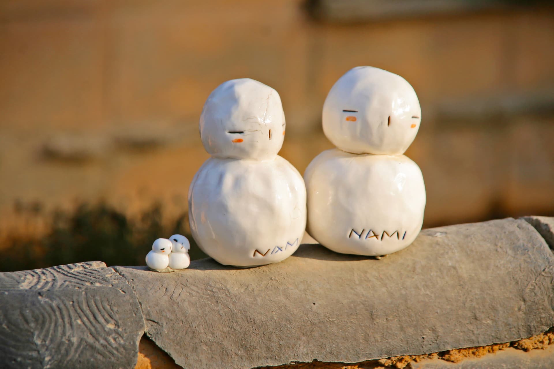 Nami Island, Petite France, Italian Village, and Garden of Morning Calm Tour from Seoul - სურათი 9