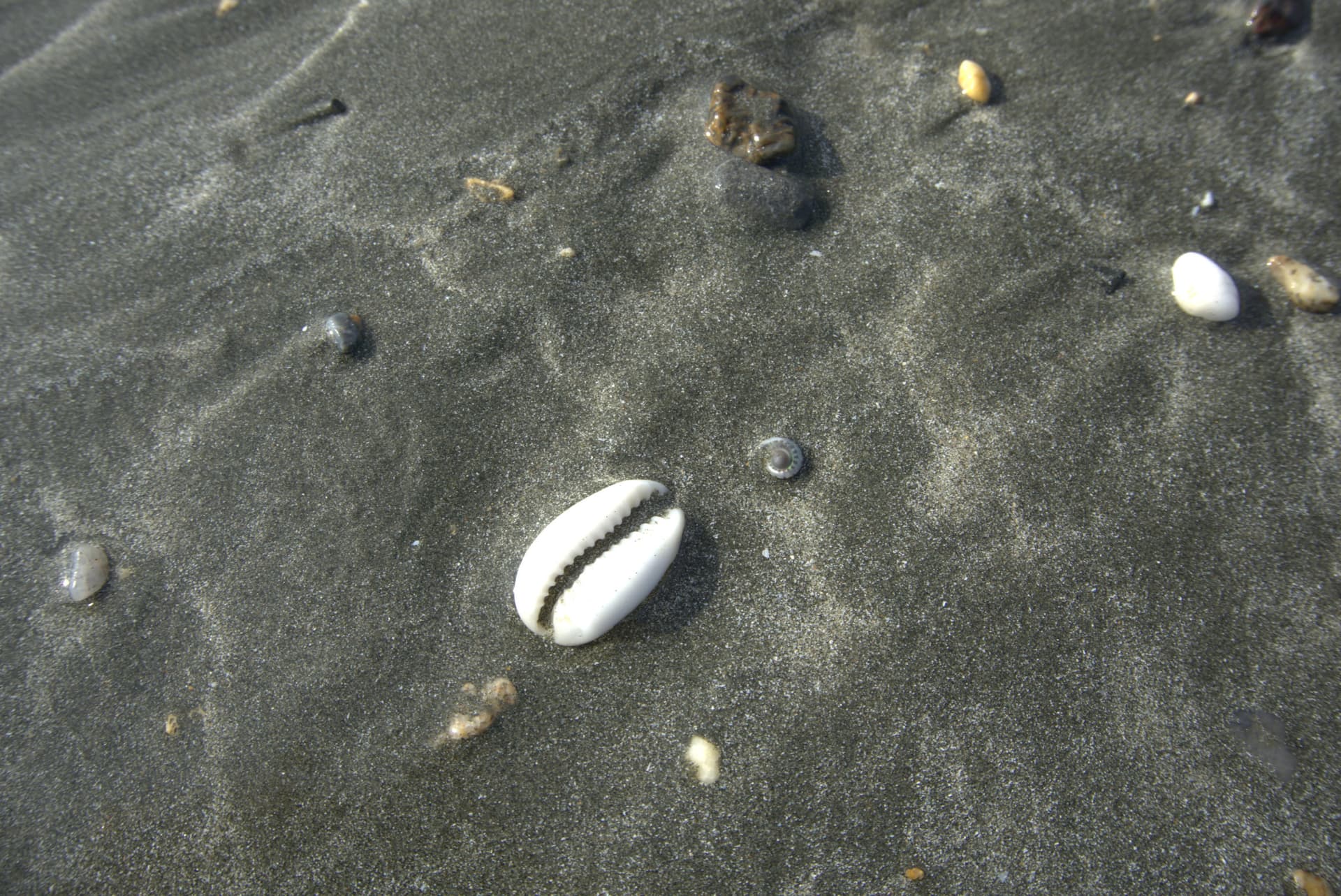 Desaru Beach and Tide Pool Walk - სურათი 20