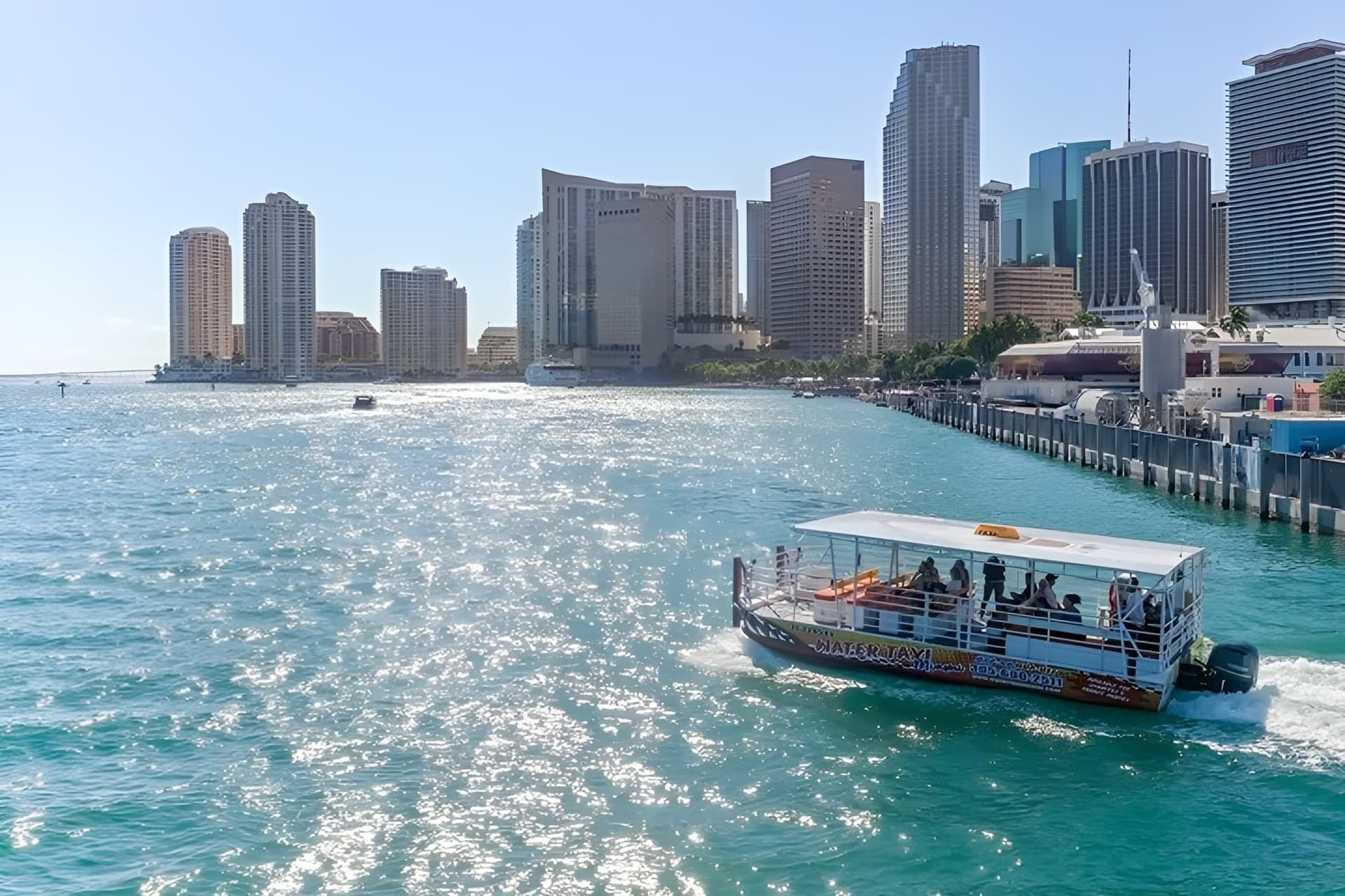Miami Skyline Cruise of Millionaires’ Homes and Biscayne Bay - მთავარი სურათი