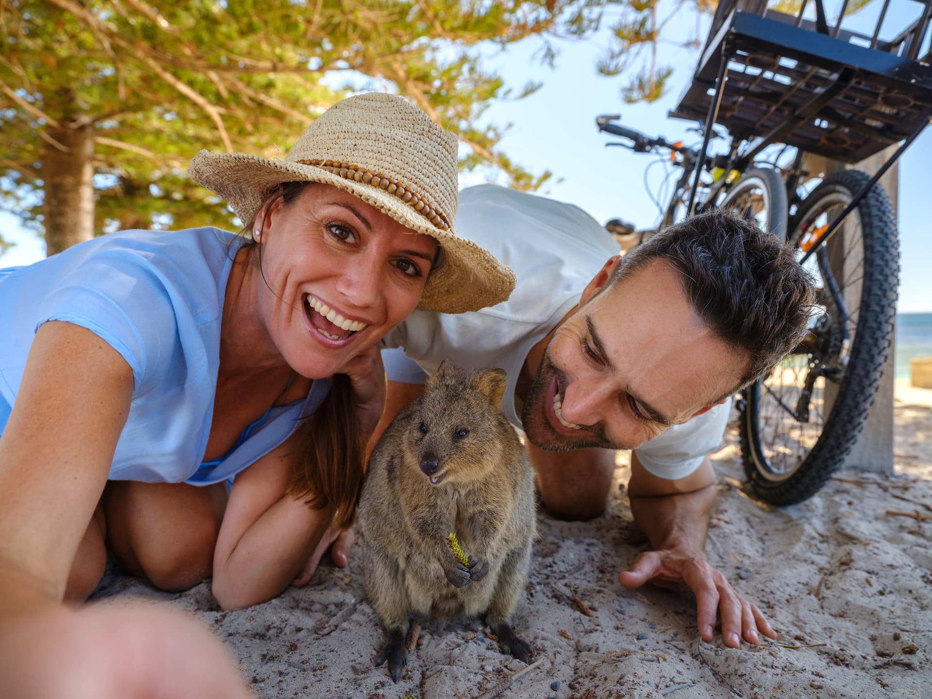 Round Trip SeaLink Ferry Transfer to Rottnest Island with Bike Hire - მთავარი სურათი