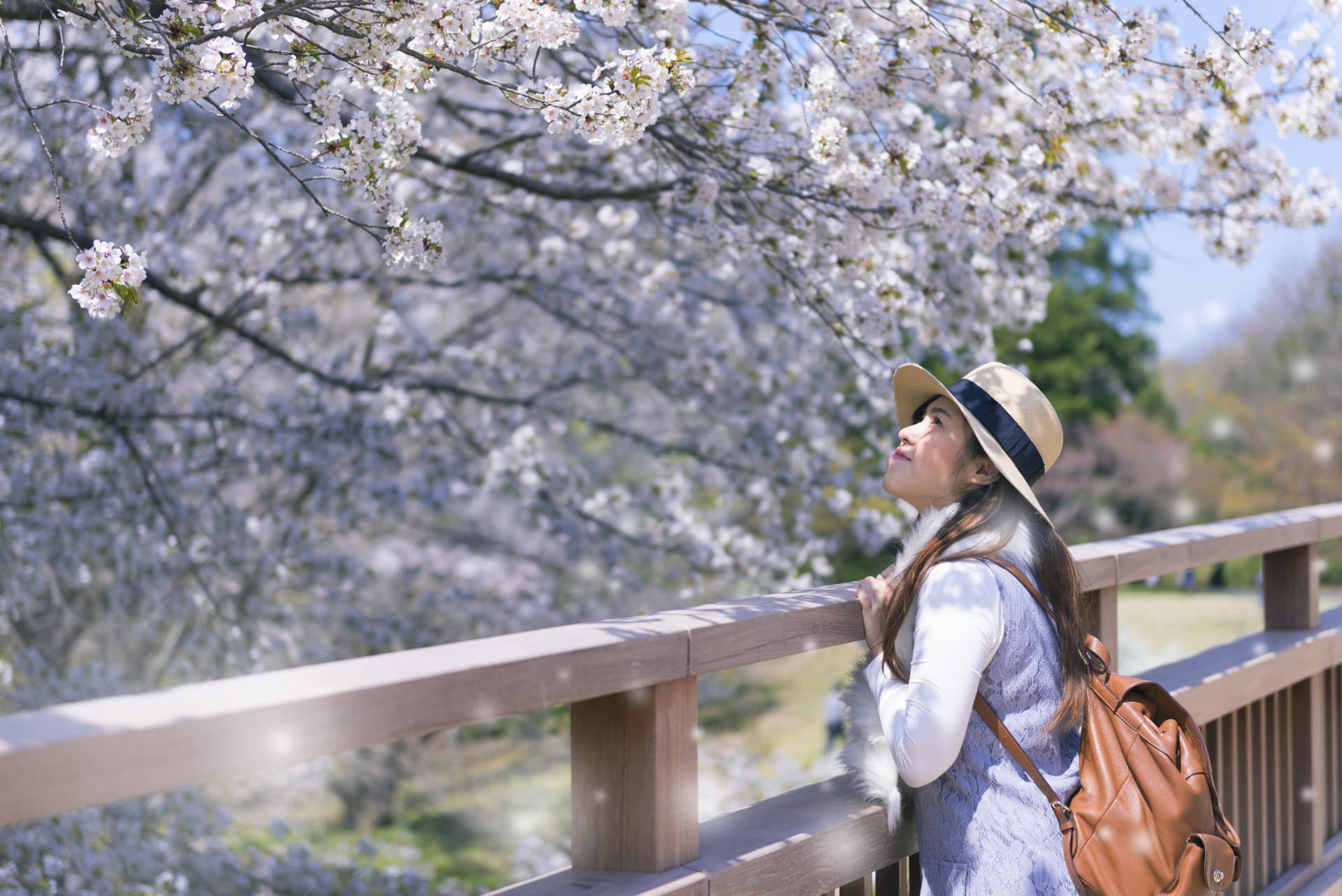Professional Photo Shoot in Kyoto - სურათი 2