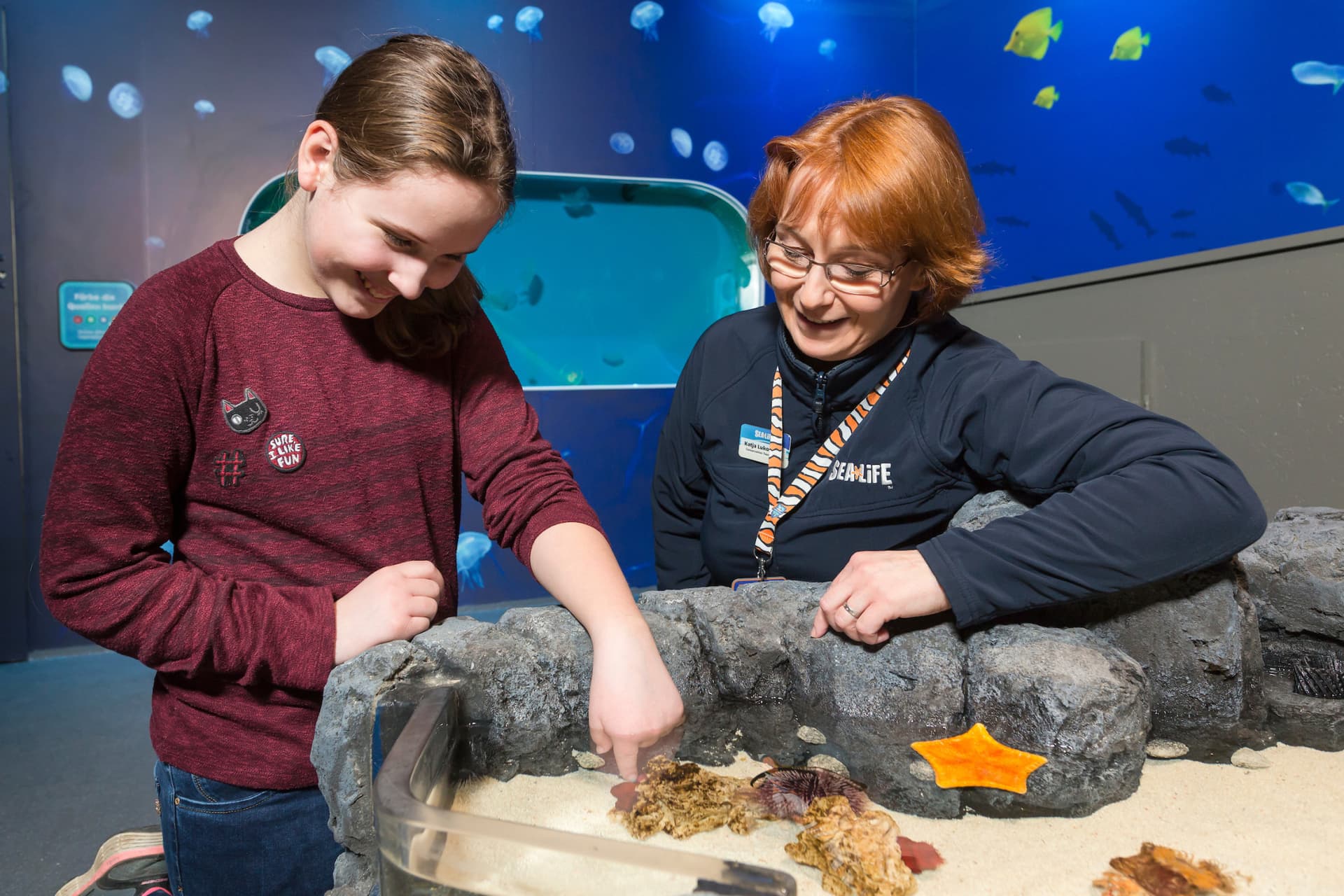 SEA LIFE Timmendorfer Strand Aquarium Ticket - სურათი 4