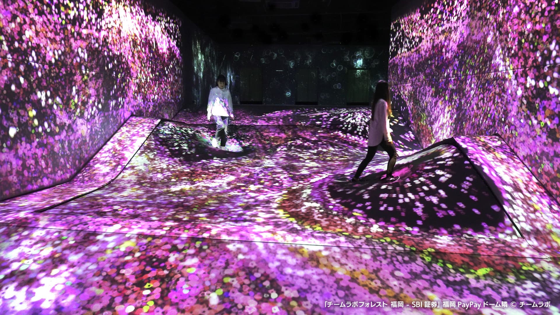 teamLab Forest Fukuoka - სურათი 3