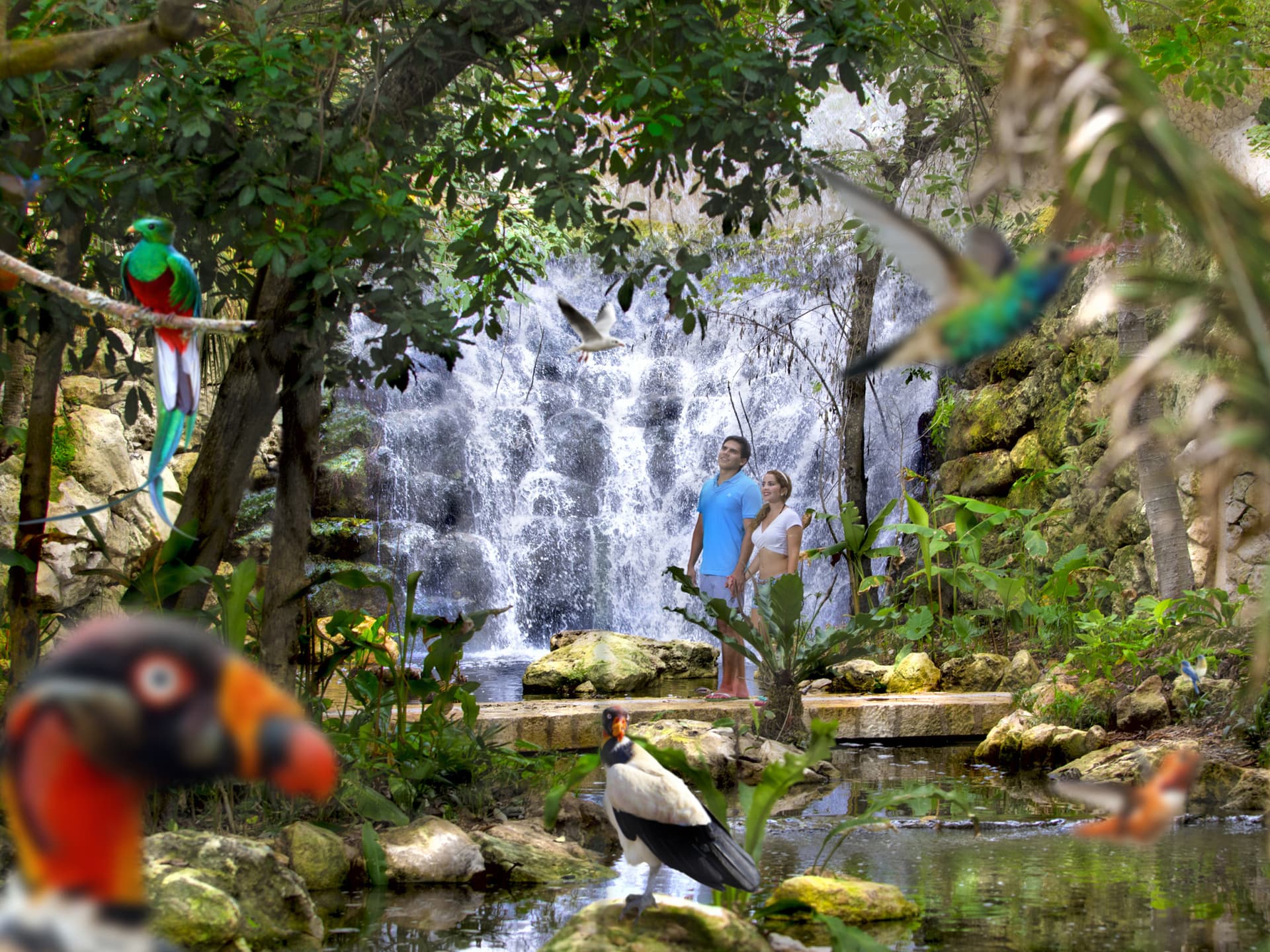 Go City Cancun All-Inclusive Pass: Save up to 50% on Attractions - სურათი 3