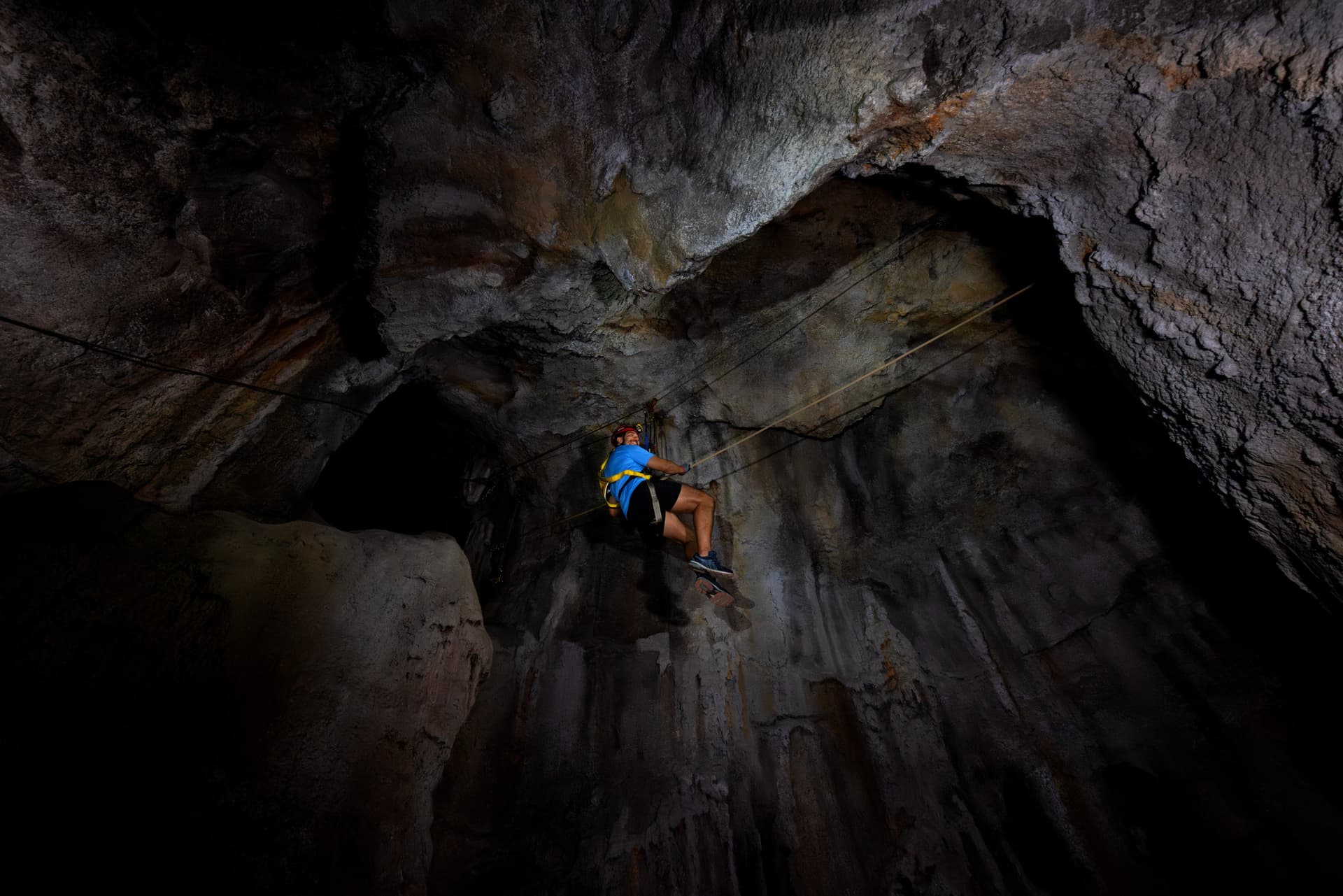 Mandai Destination Pass: Up to 2 Attractions in 1 Day - სურათი 9