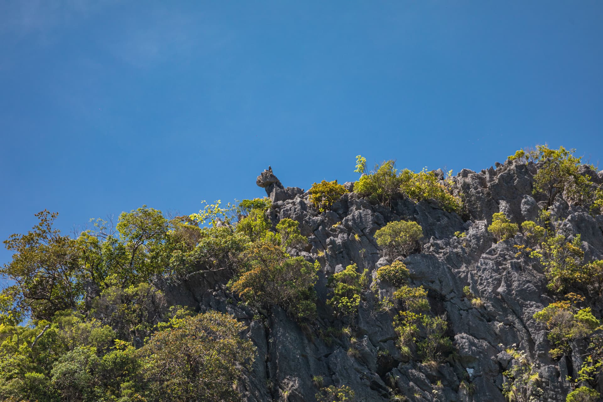 James Bond Island, Phang-Nga Bay, Hong Island, and Khai Island Tour from Phuket - სურათი 5
