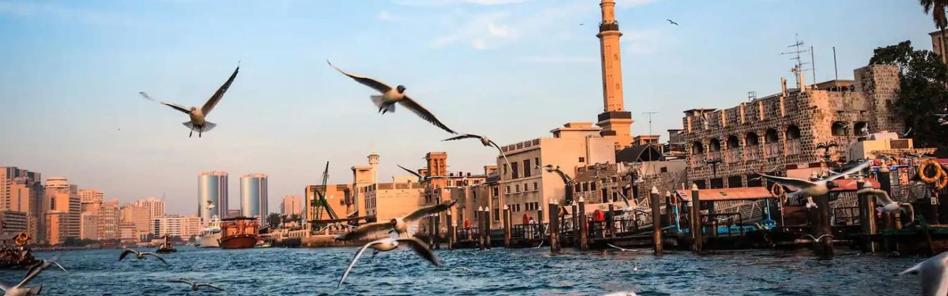 Go City Dubai Highlights Pass: Save up to 50% on Attractions - სურათი 18