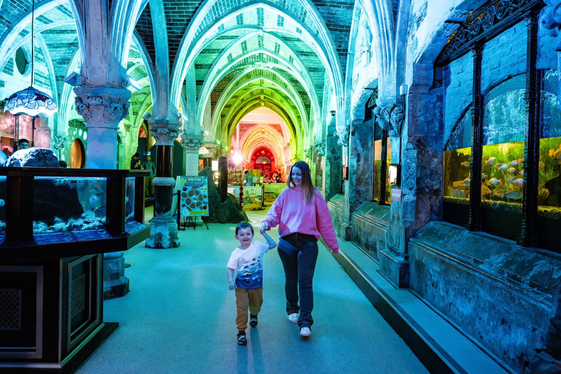 SEA LIFE Brighton Ticket - მთავარი სურათი