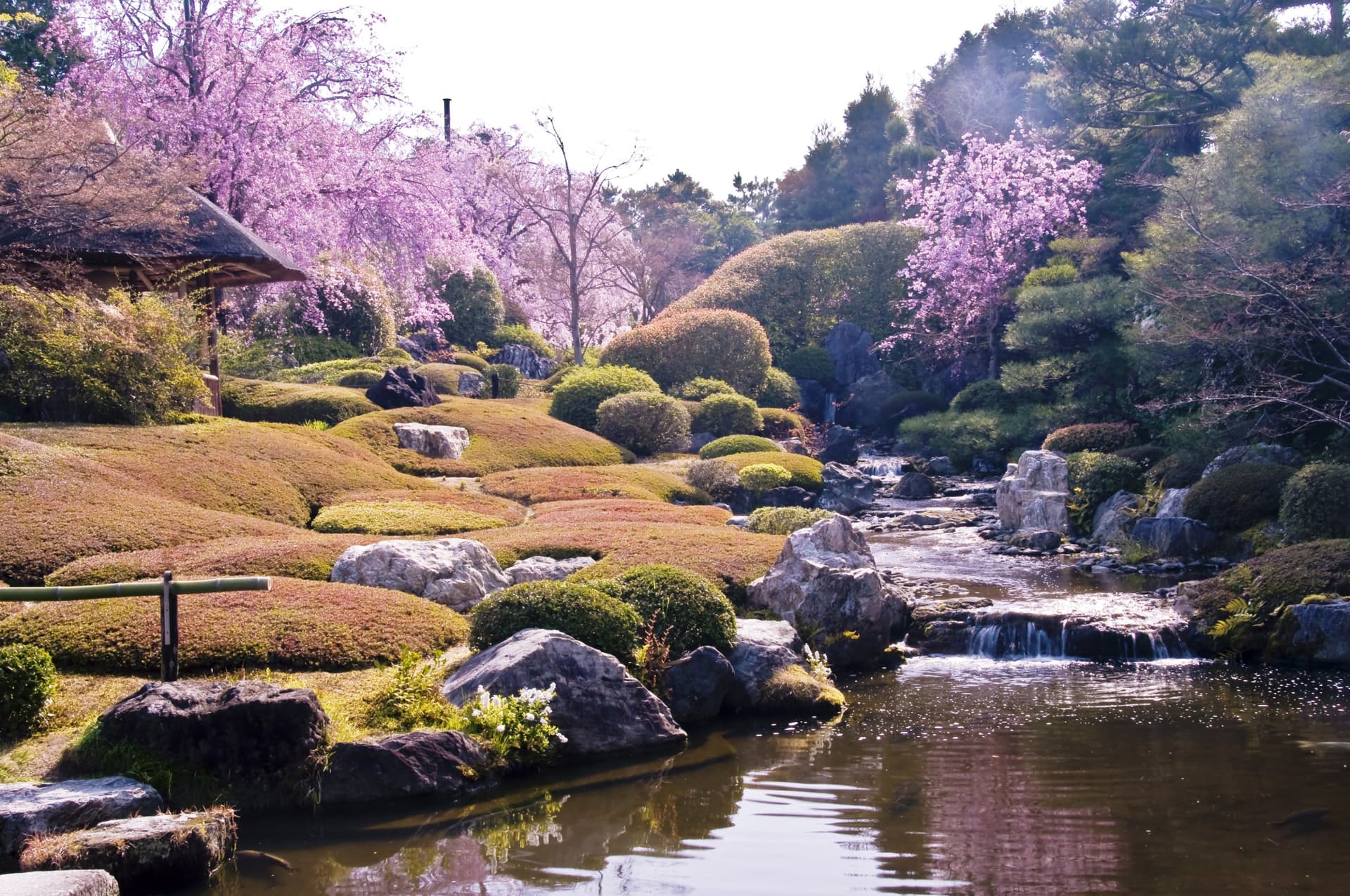 Myoshinji Temple Self-Guided Tour with Lunch - სურათი 6