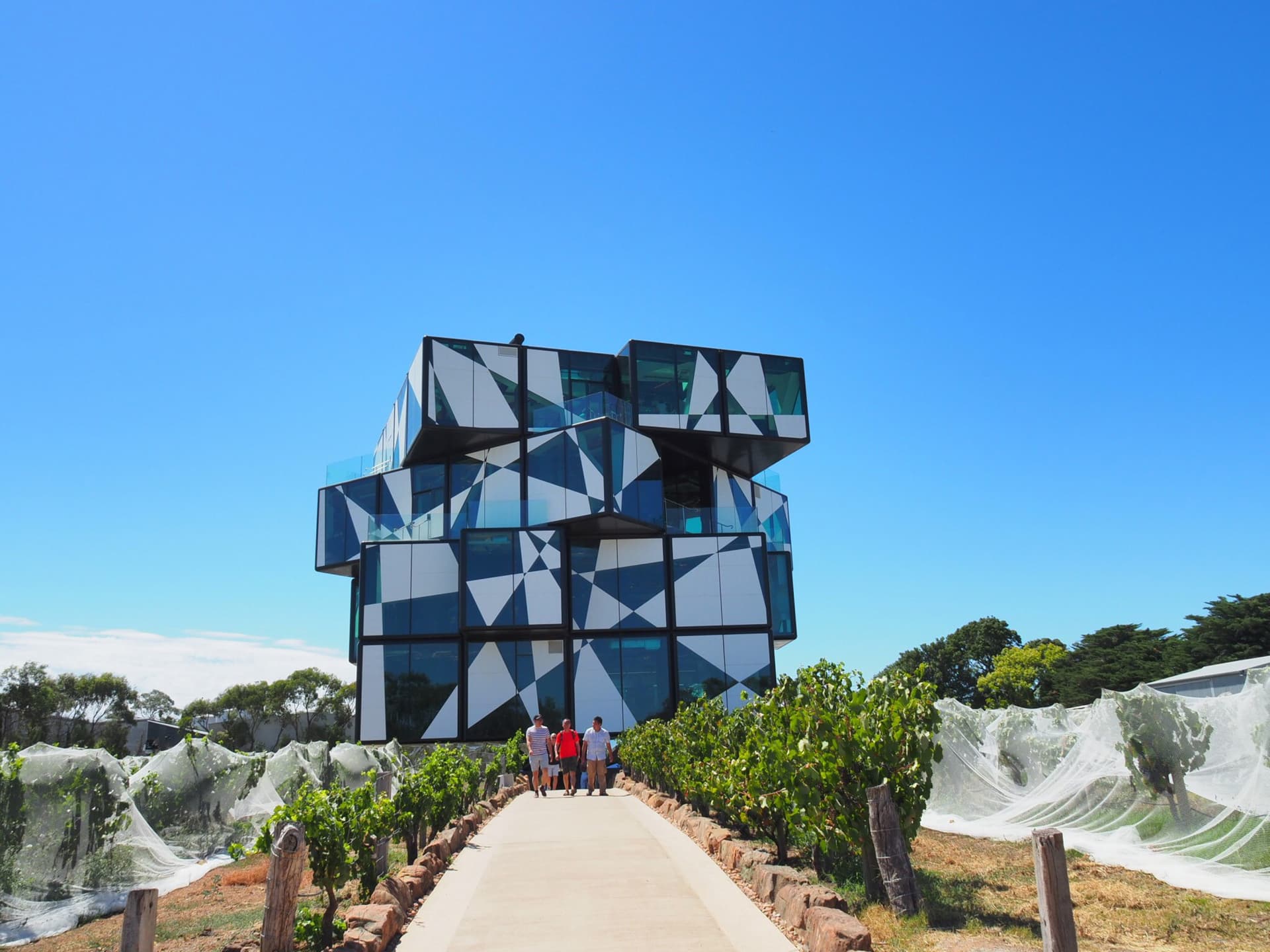 McLaren Vale and d’Arenberg Cube Wine Tasting Tour - სურათი 2