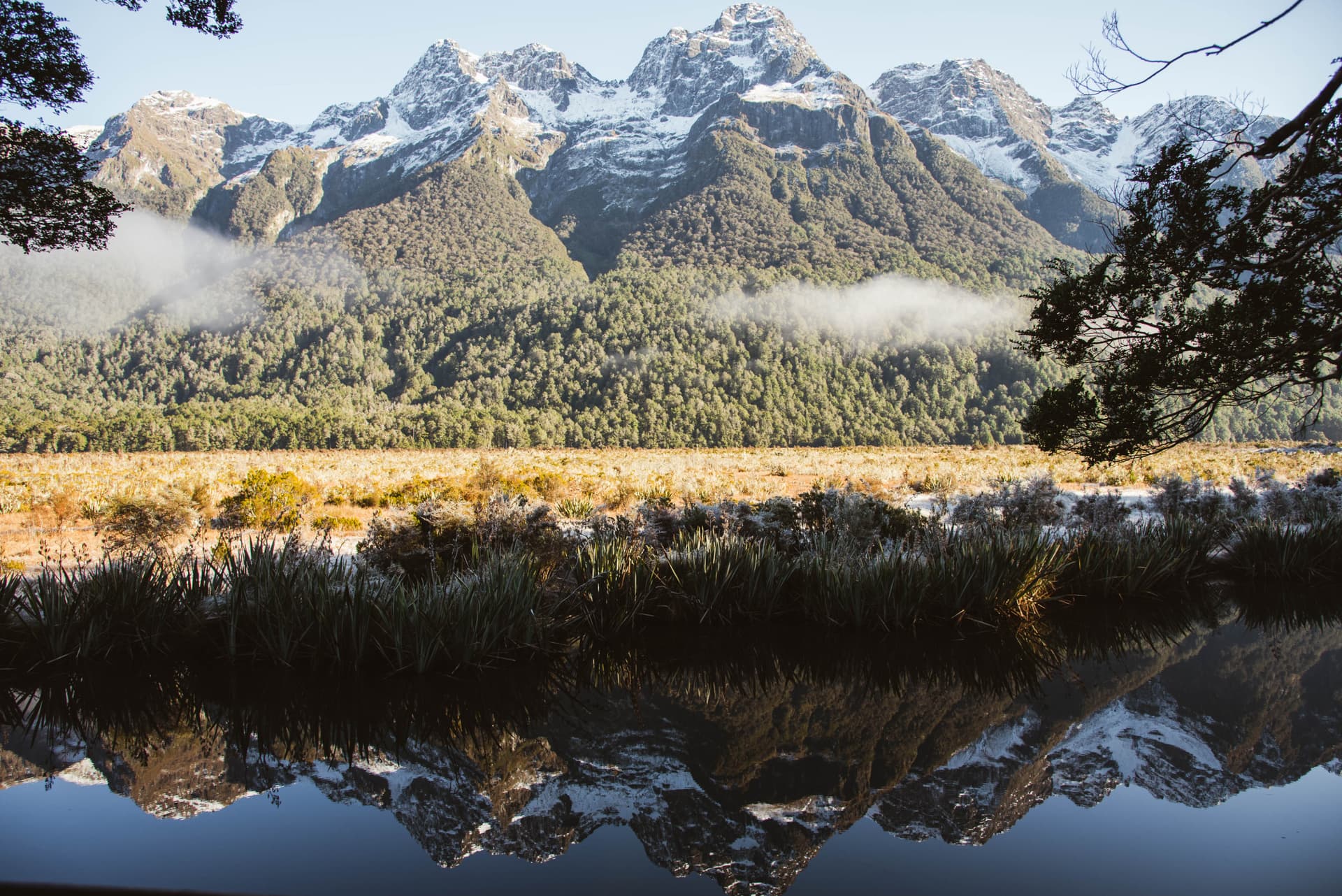 Milford Sound Coach and Cruise from Queenstown - მთავარი სურათი
