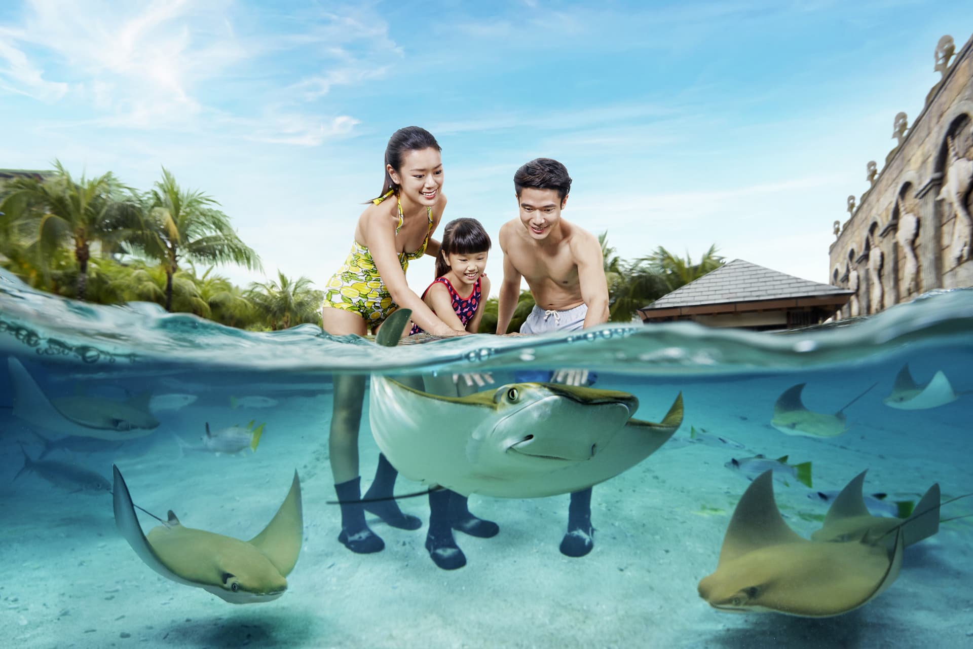 Adventure Cove Waterpark‎ Express Pass - სურათი 6