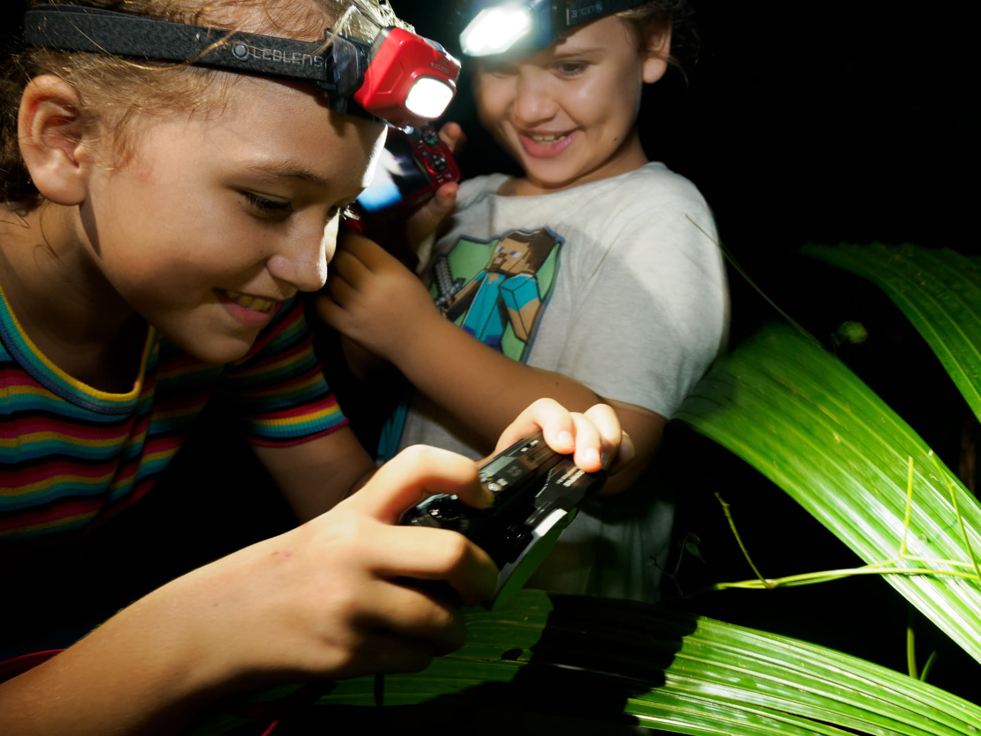 Cairns Botanic Gardens Night Walk Experience - სურათი 2