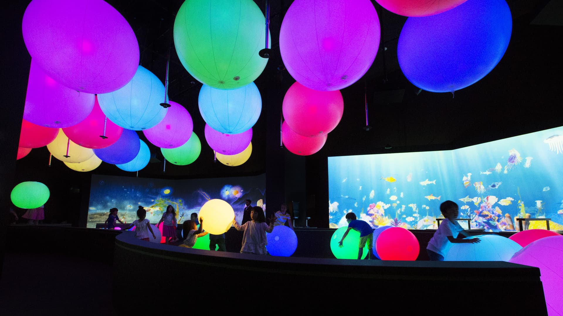 COMBO: Gardens by the Bay + Marina Bay Sands SkyPark Observation Deck + ArtScience Museum Tickets - სურათი 11
