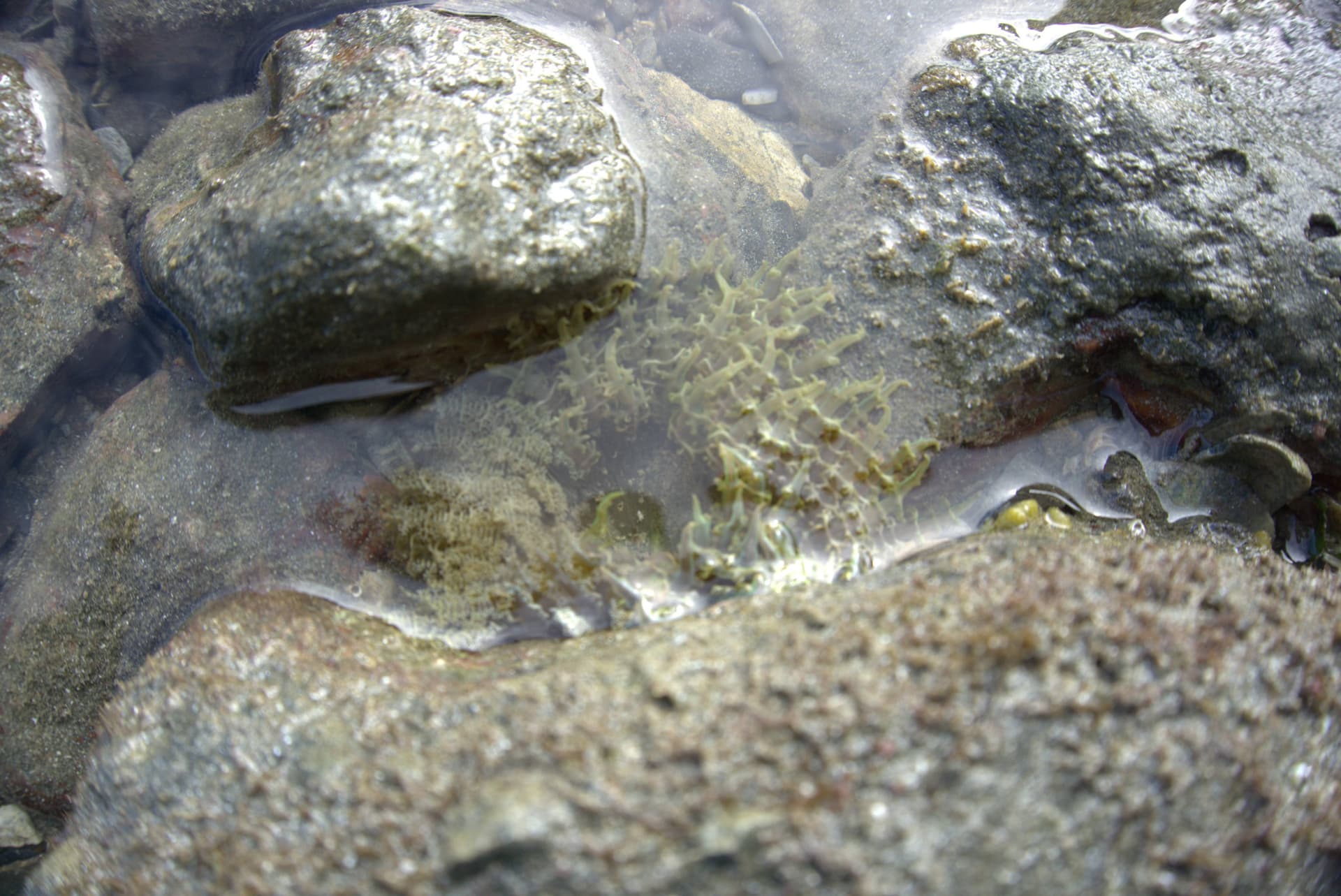 Desaru Beach and Tide Pool Walk - სურათი 32