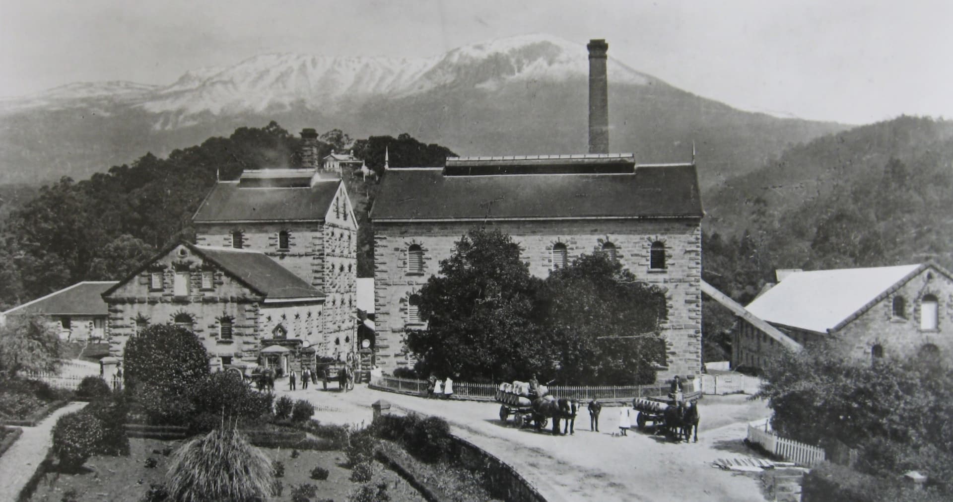 Cascade Brewery Grounds Tour - მთავარი სურათი