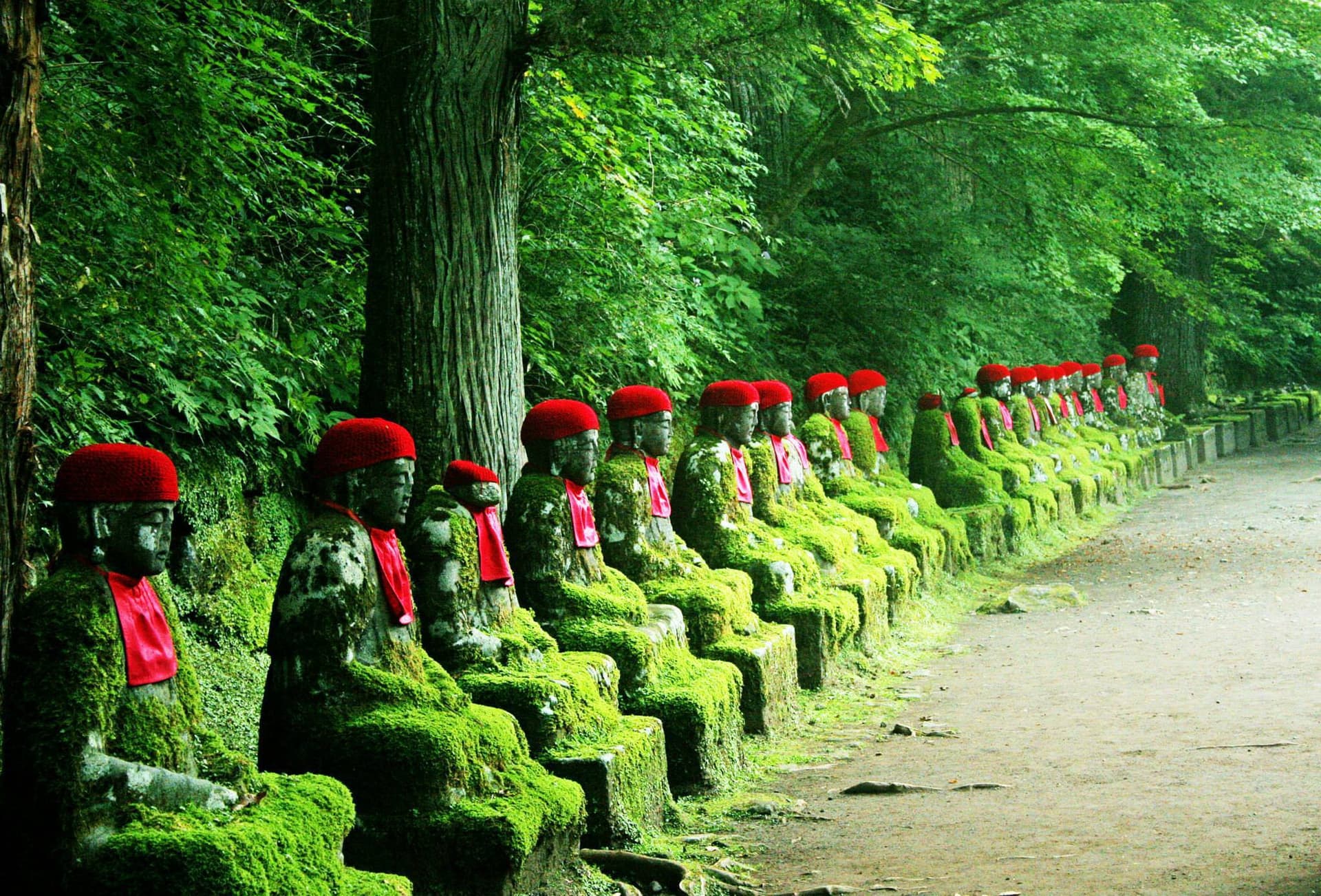 Nikko Pass - World Heritage Area - სურათი 3