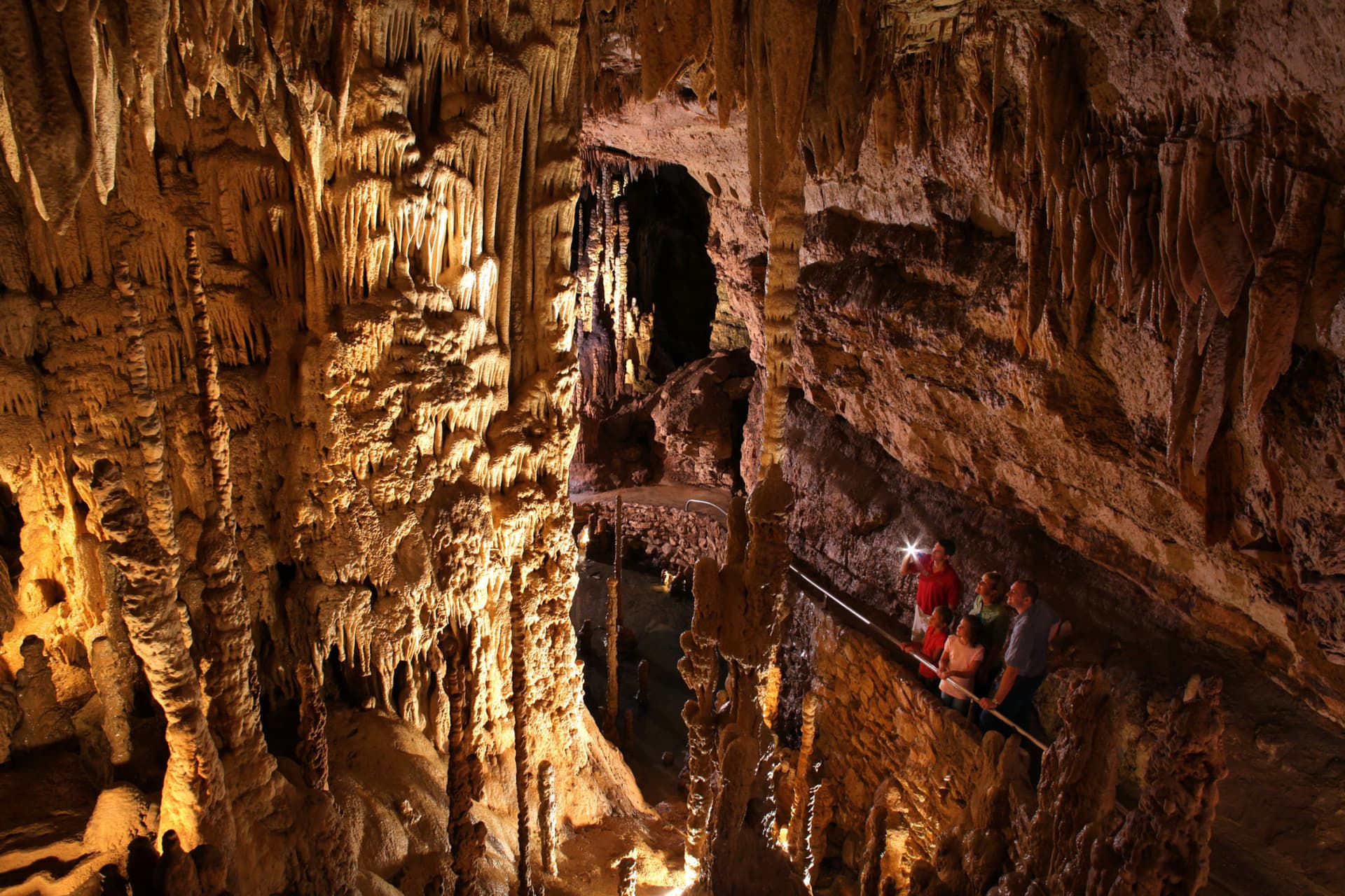Go City San Antonio Essentials Pass: 3 Attractions - სურათი 2