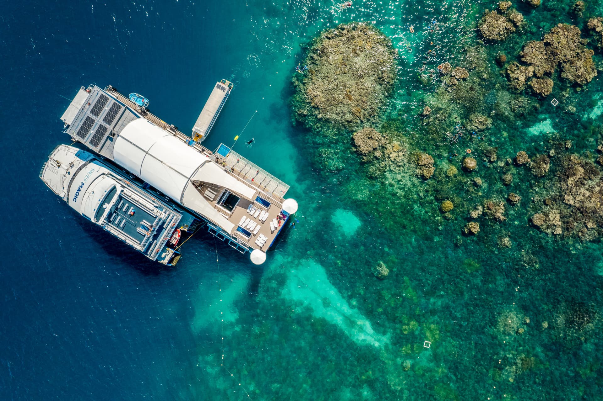 Reef Magic Pontoon Tour from Cairns - სურათი 7