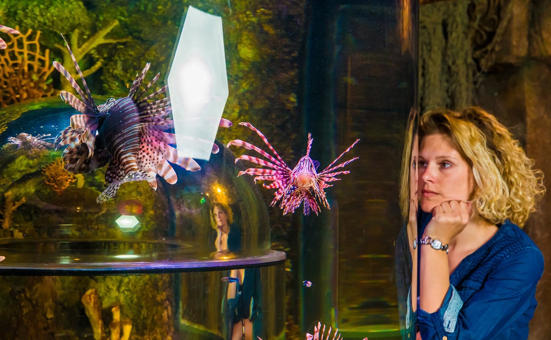 SEA LIFE Timmendorfer Strand Aquarium Ticket - სურათი 10