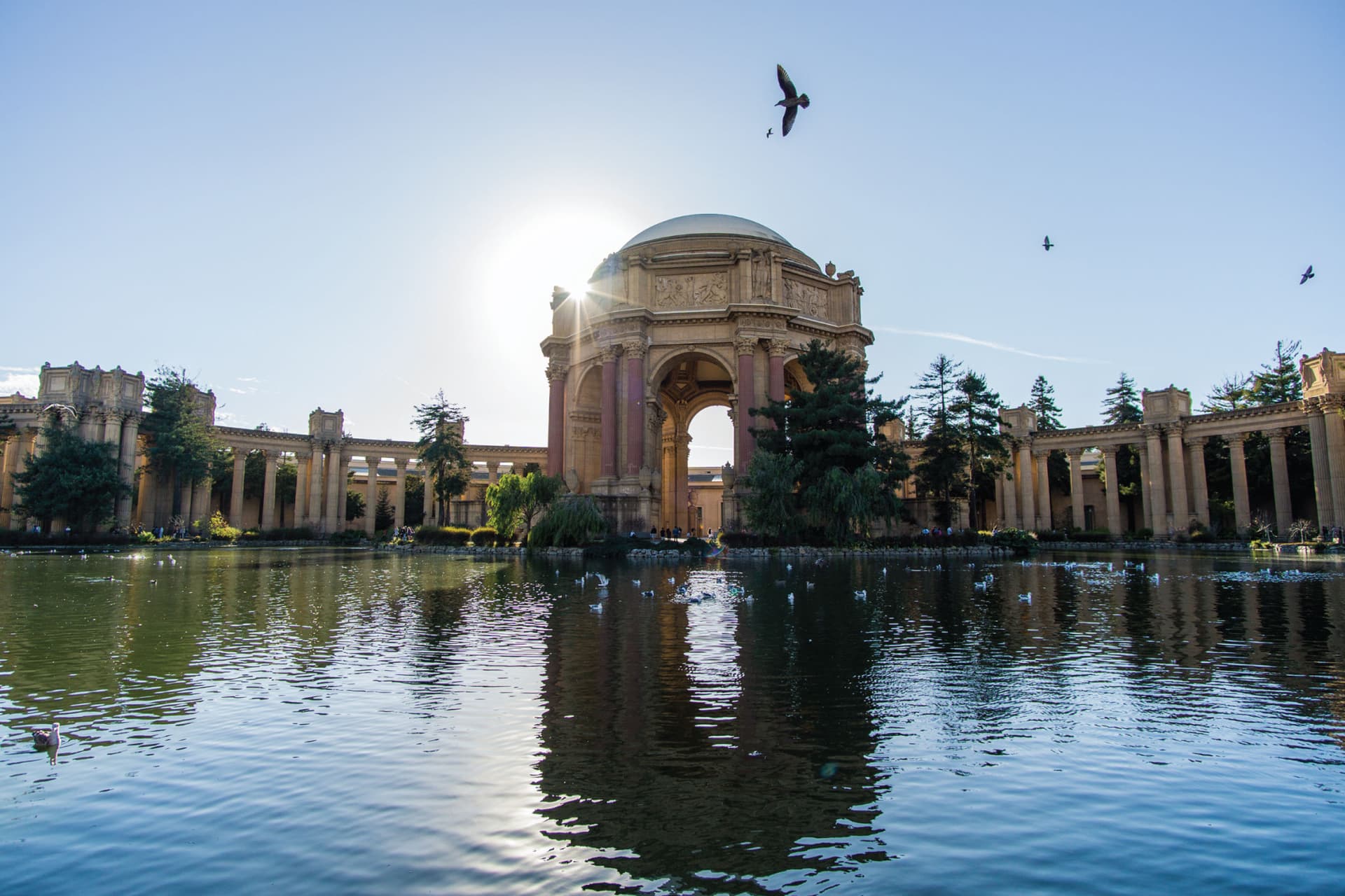 San Francisco Hop-On Hop-Off City Bus Tours by Skyline Sightseeing - სურათი 5