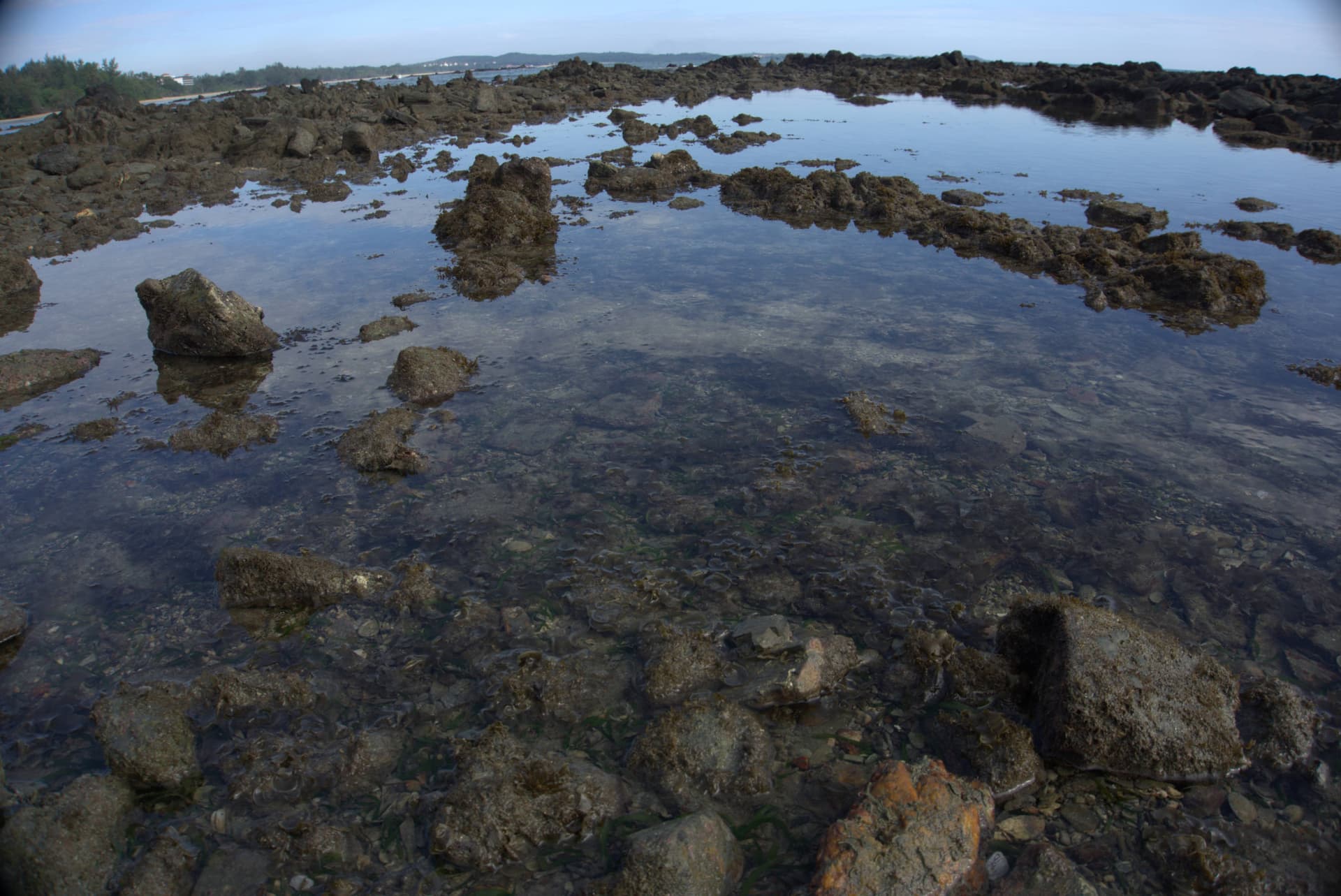 Desaru Beach and Tide Pool Walk - სურათი 30